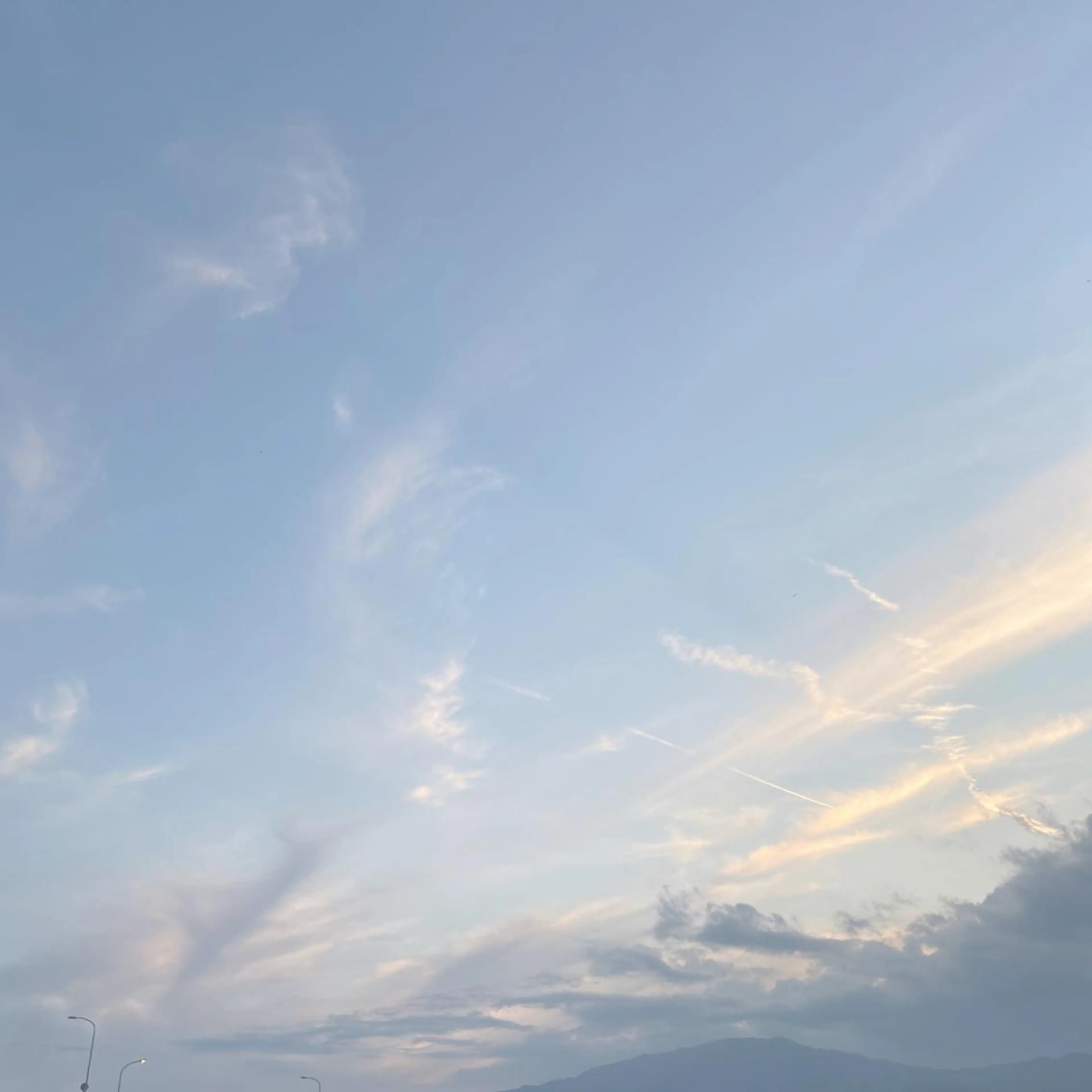 Plaatje所属・Plaatje💐 ゆずはのヘアスタイル