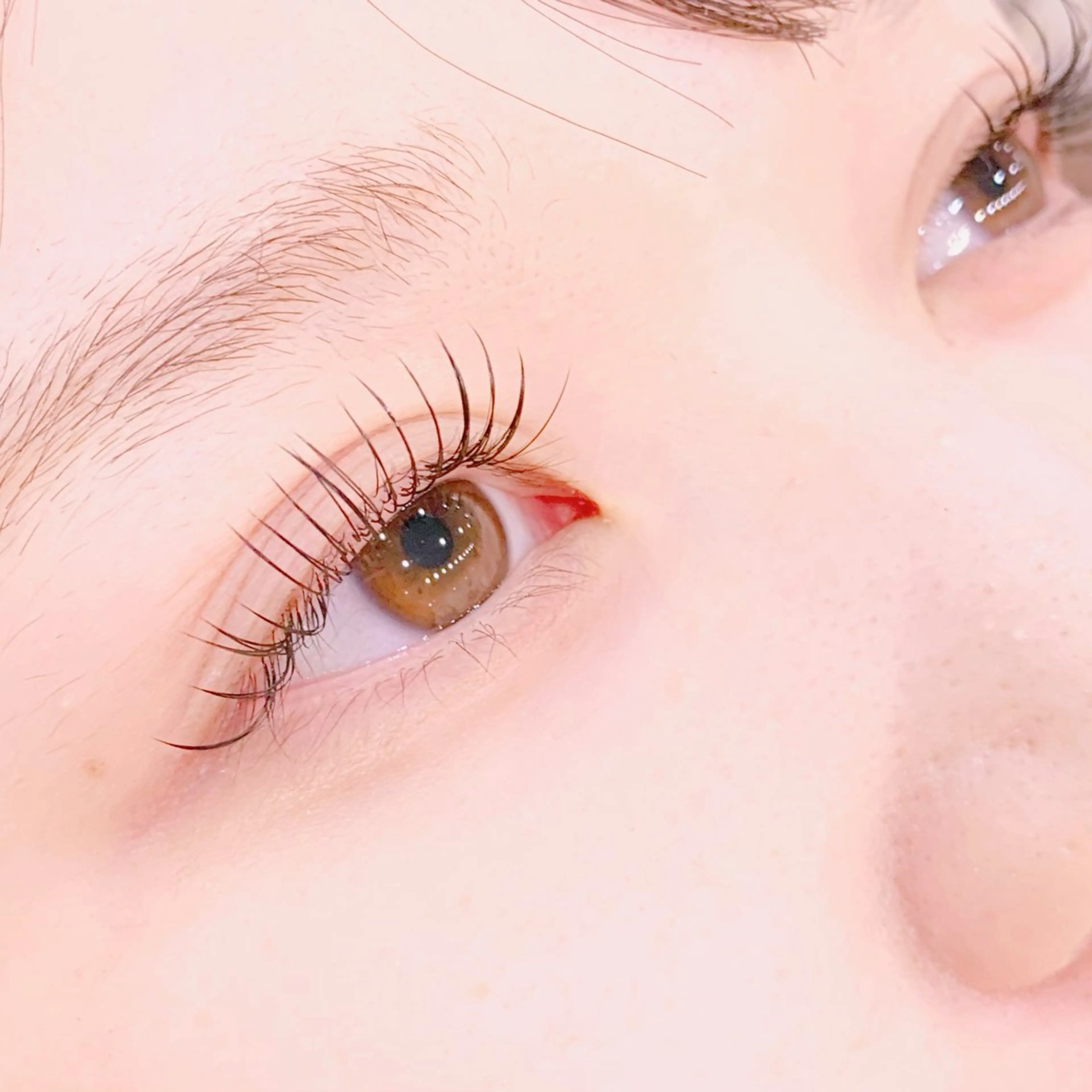 【ご新規様限定】オフなしフラットラッシュ100本の写真