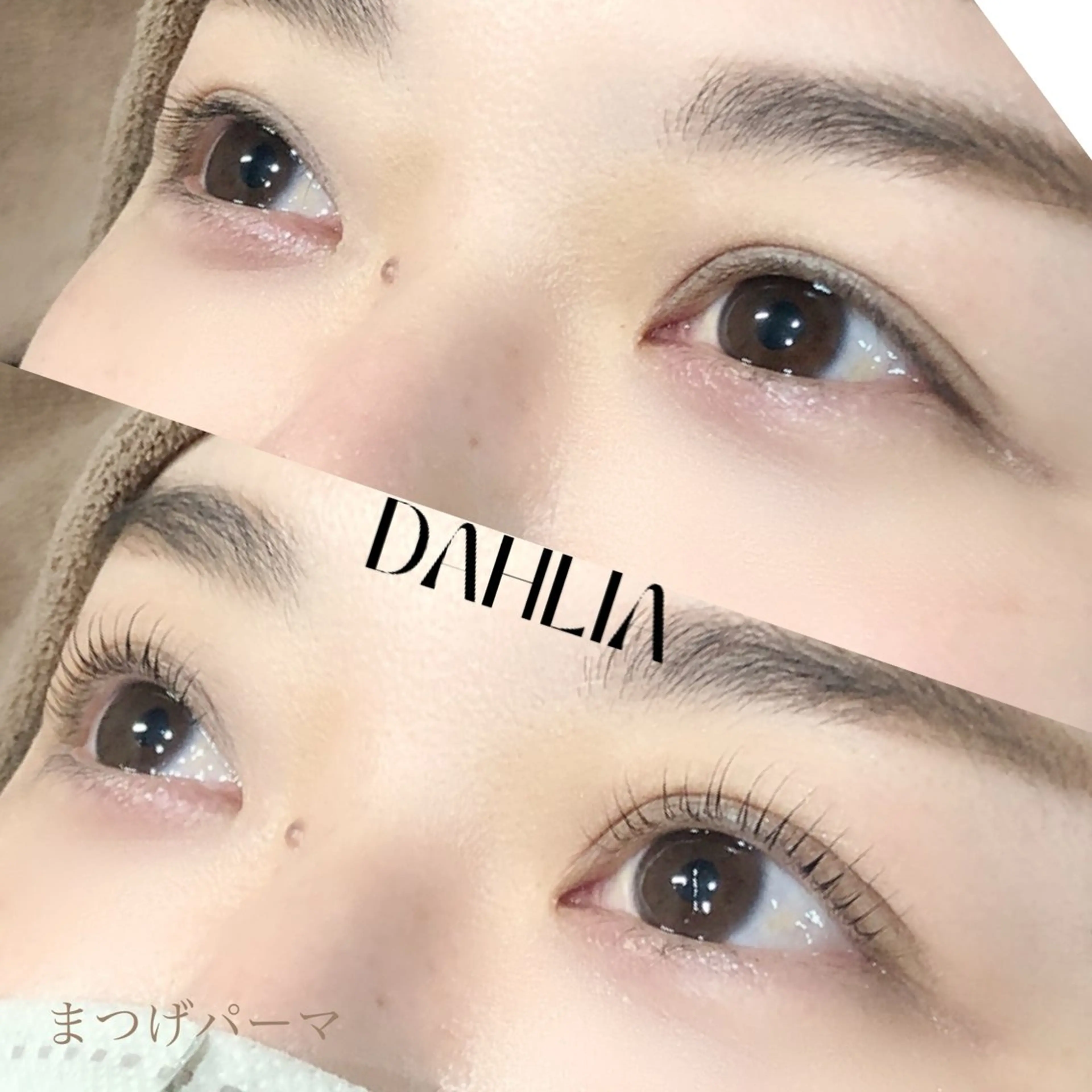 マツエク・マツパ まつげパーマ Dahliaダリア 斉藤のマツエク・マツパデザイン