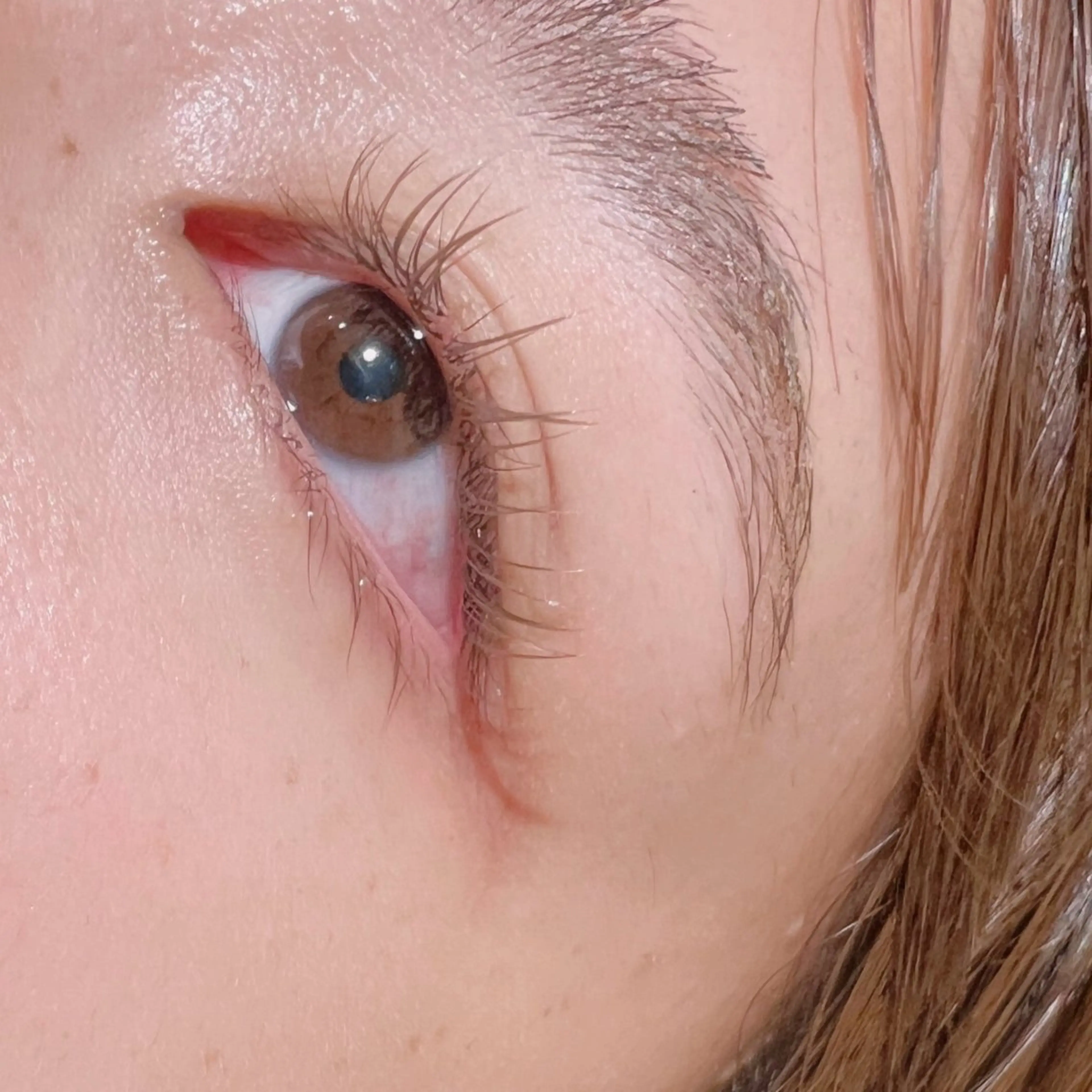 マツエク・マツパ CCカール Cカール セーブル マツエク ✳︎SERA✳︎ 平日のみご案内のマツエク・マツパデザイン