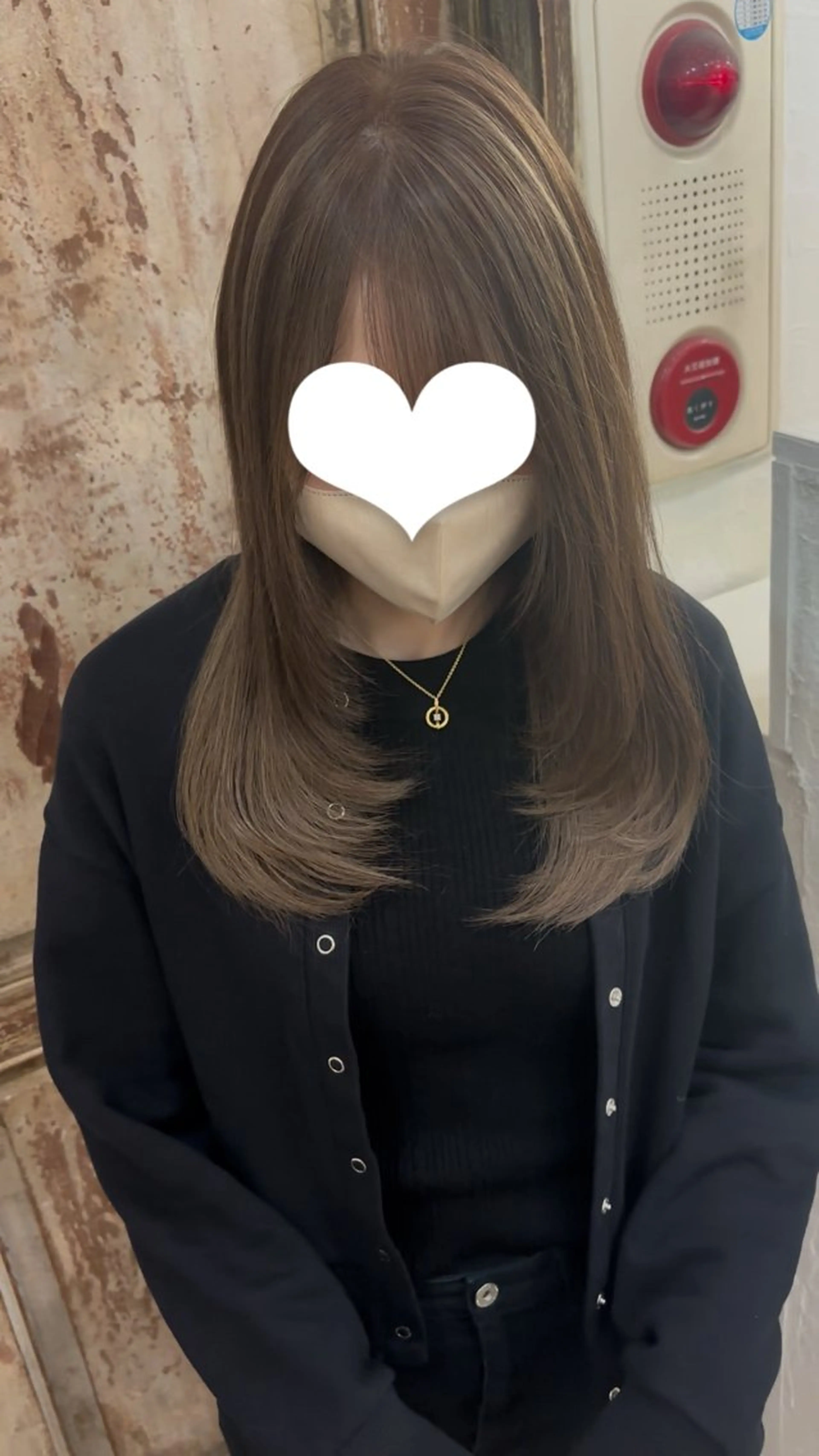 カットモデルの写真