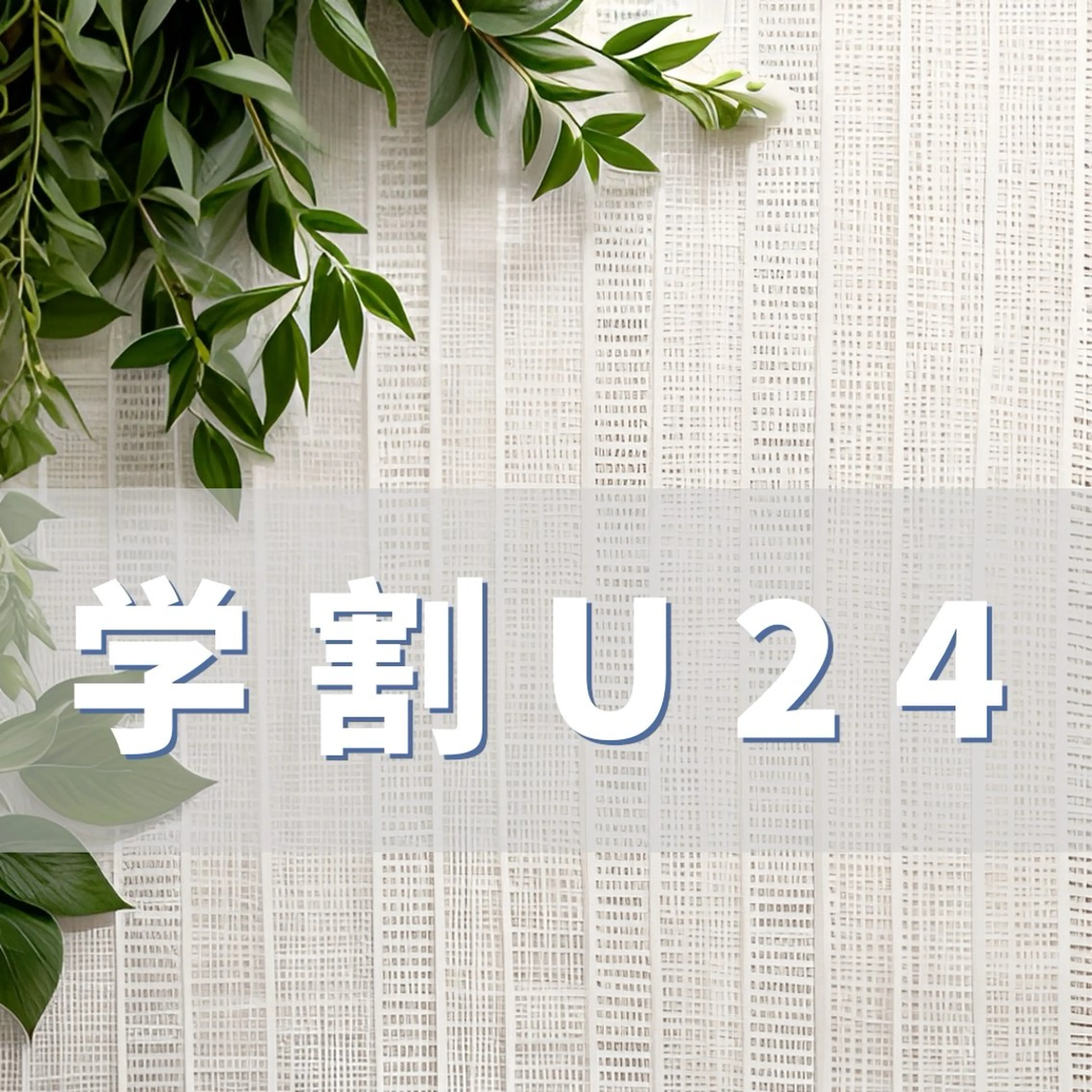 [学割U24]レディース⭐︎足上下.腕上下.脇20,000円→16,000円(回数により更に割引)上記以外部位20%オフの写真