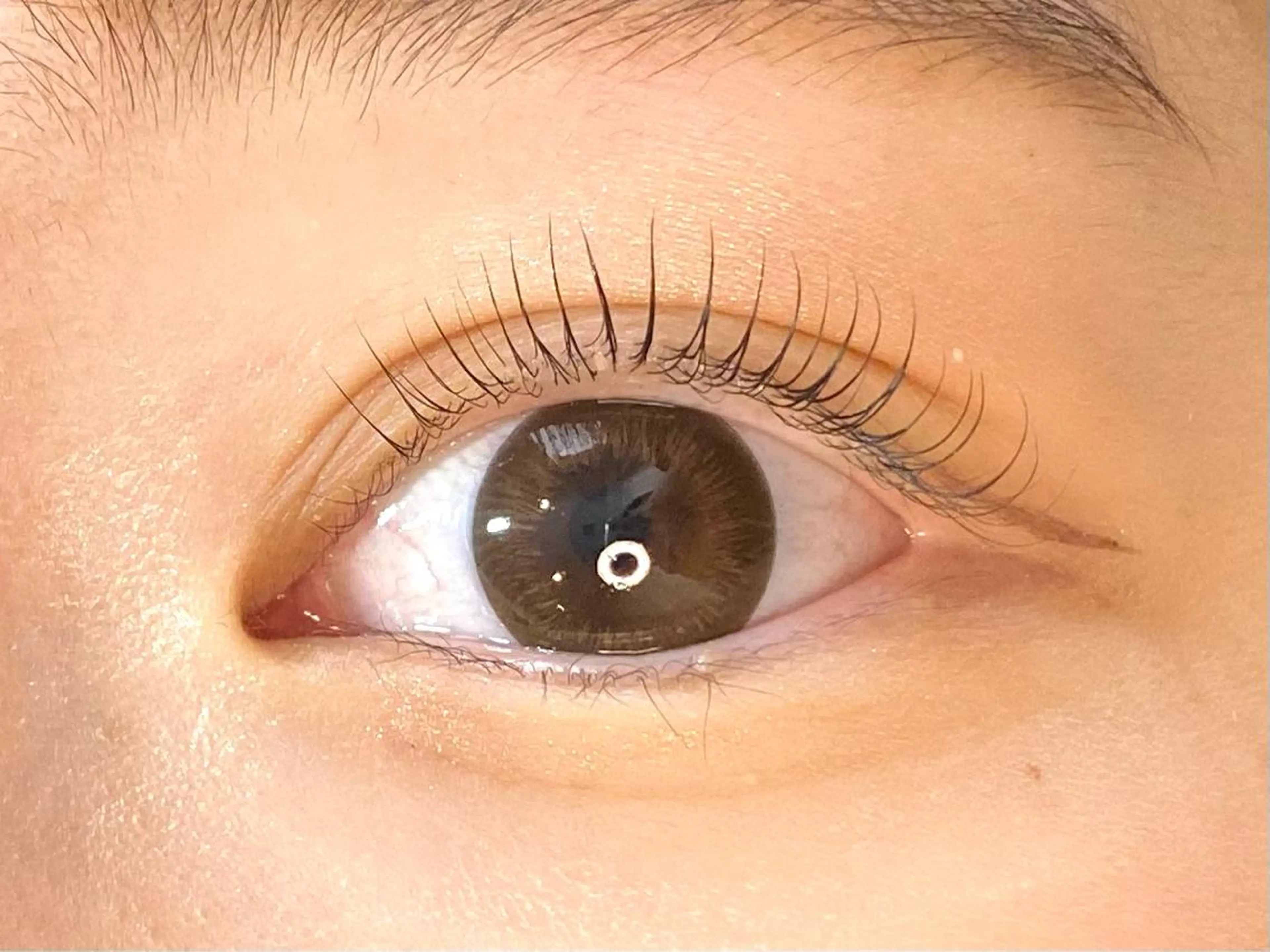 マツエク・マツパ マツパ Chisato🤍池 袋/マツパ/マツエクのマツエク・マツパデザイン