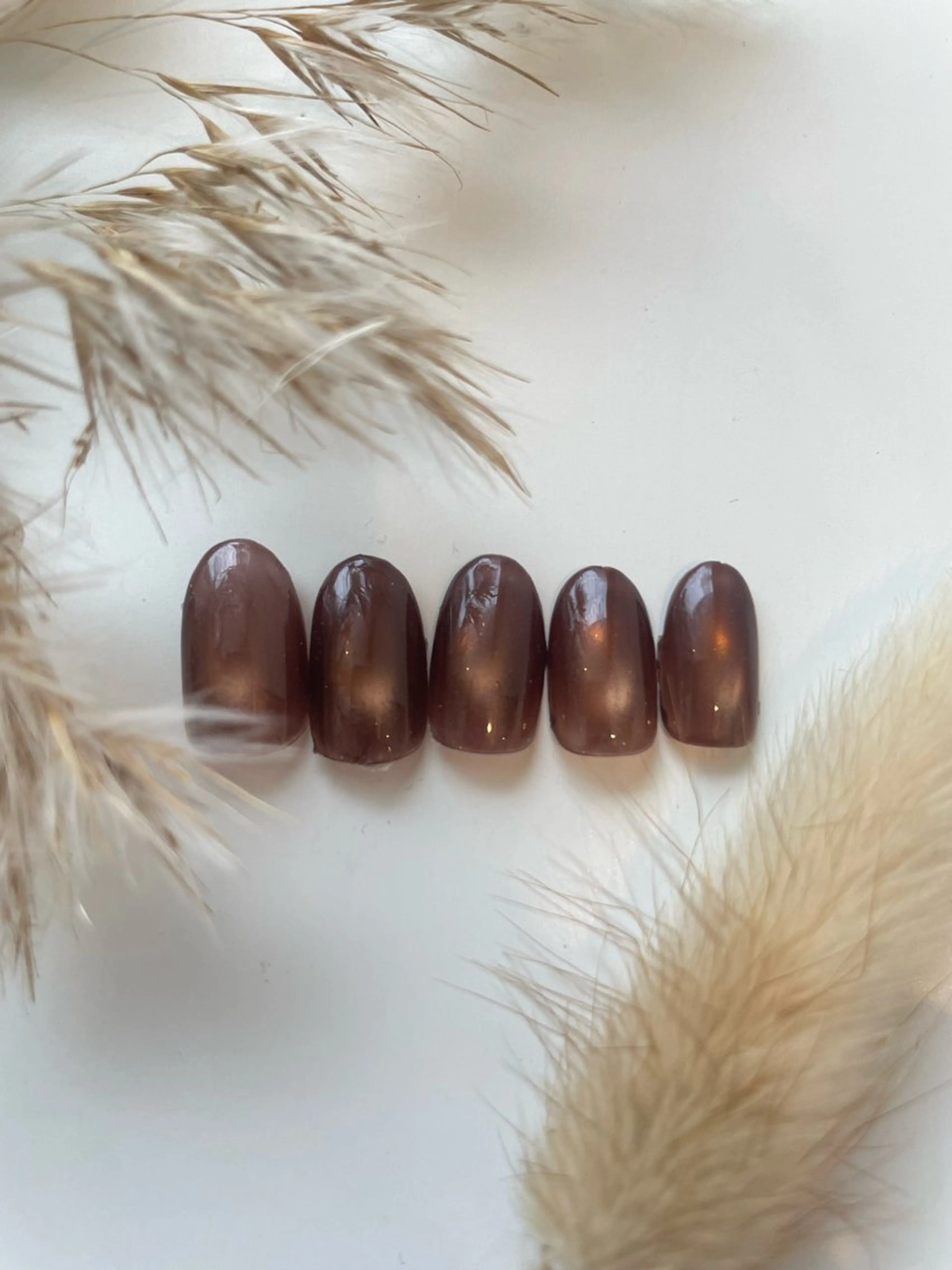 ネイル ブラウン マグネットネイル MASHU Machela所属・MASHU /サヤnail♡のネイルデザイン