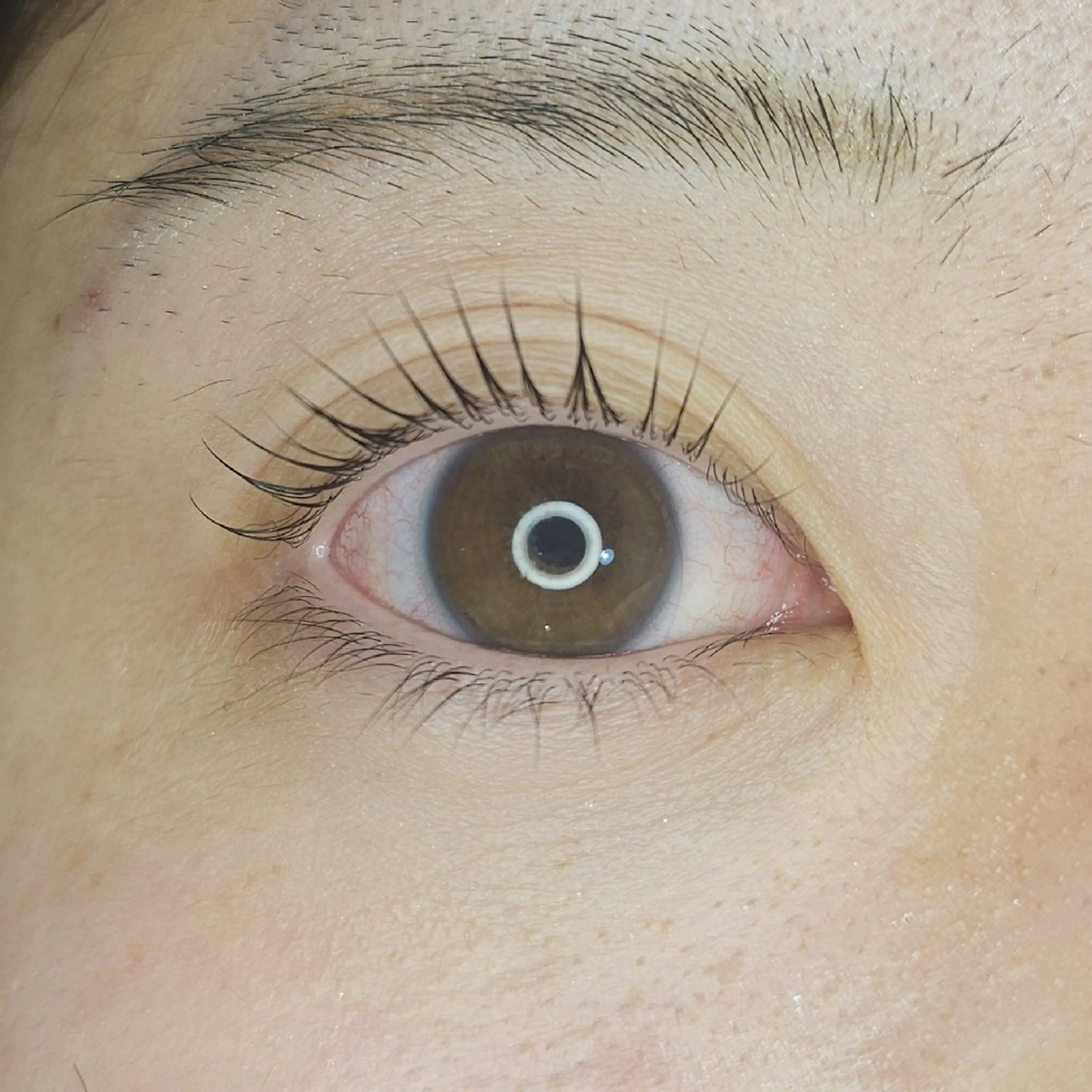 マツエク・マツパ マツパ あべかりん/原宿 /マツパ/ハイトーンのヘアスタイル