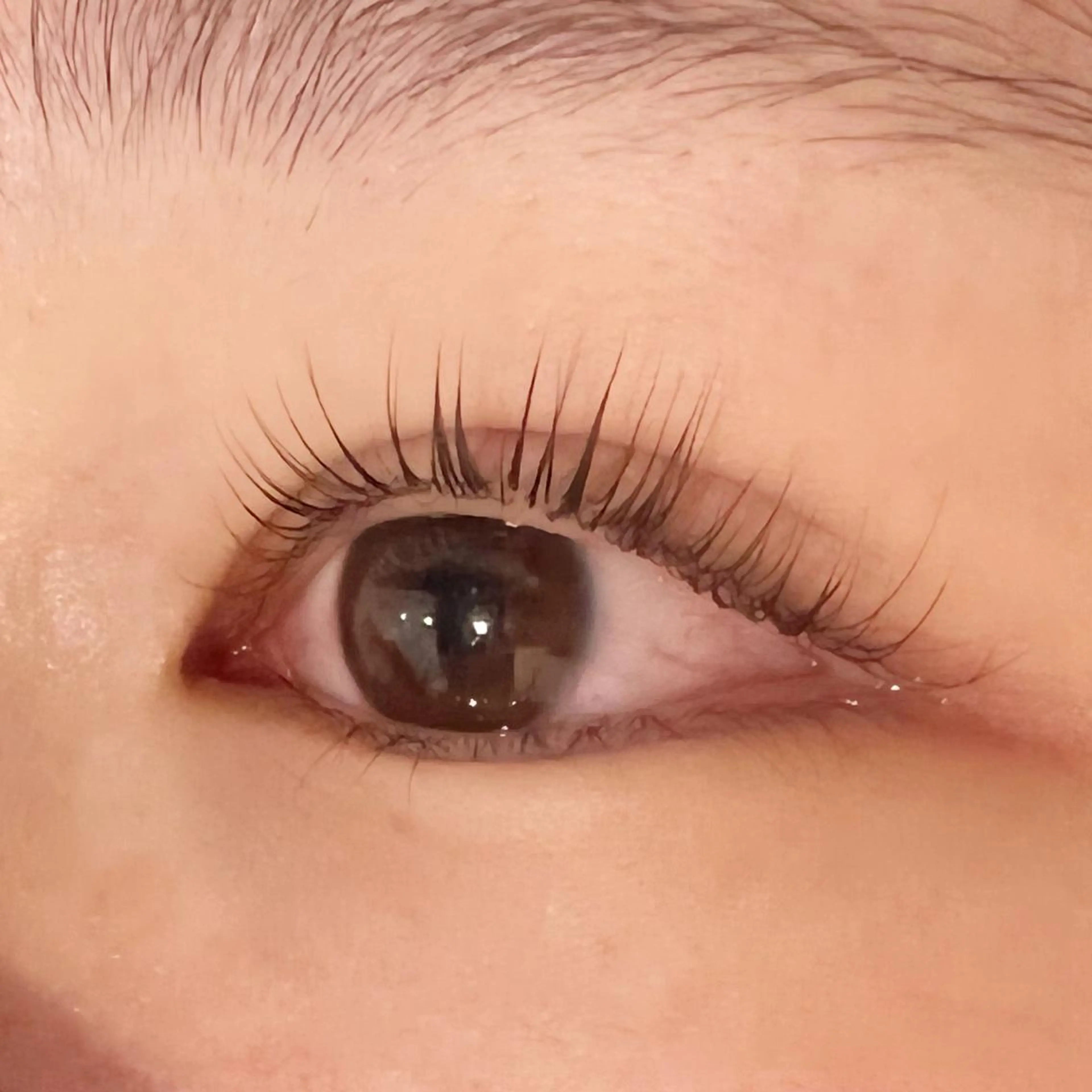 マツエク・マツパ unolash　京橋店所属・unolash (ウノラッシュ)魚下のマツエク・マツパデザイン