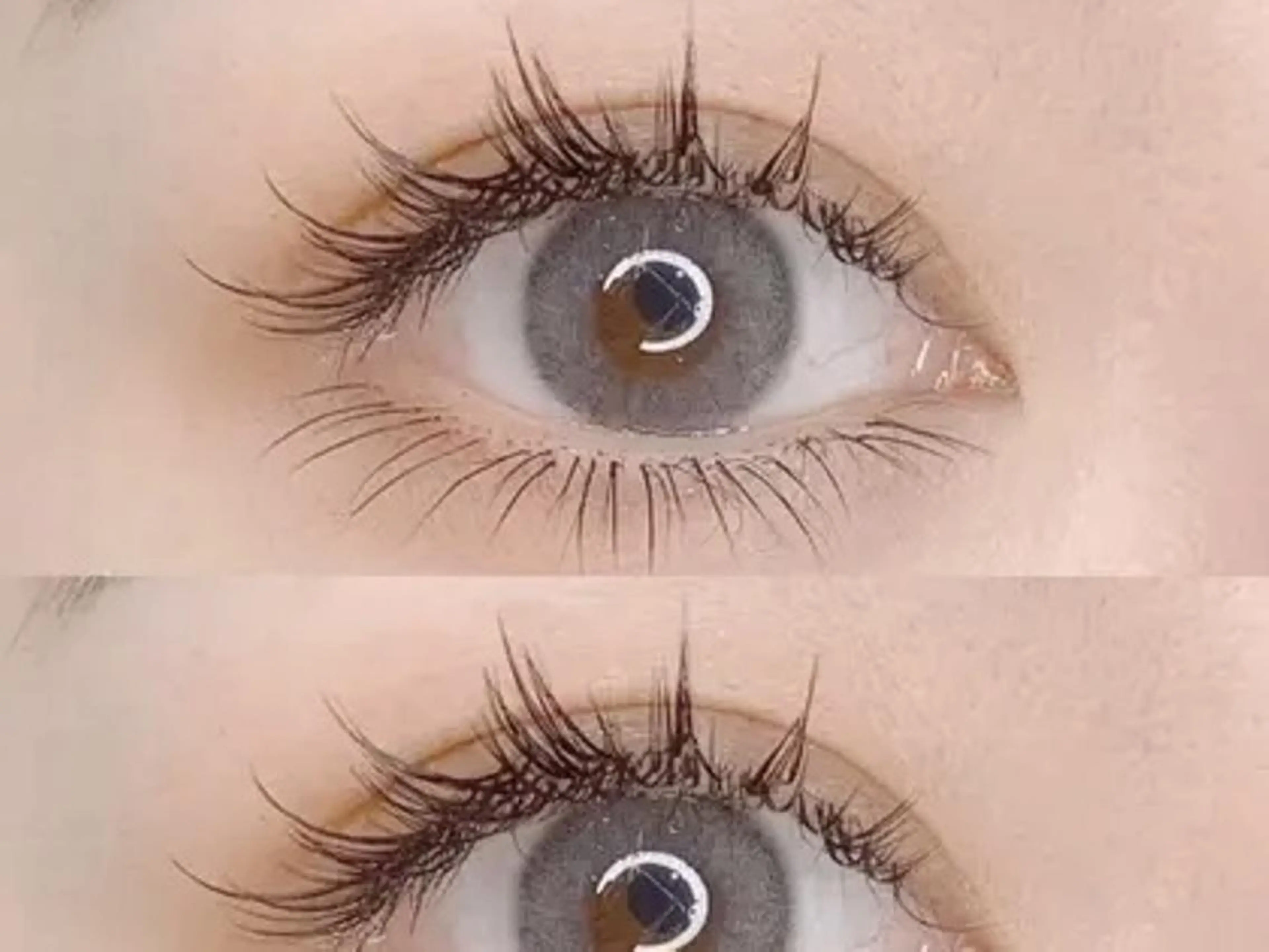 リピーター様🎀フラットラッシュ 100本の写真