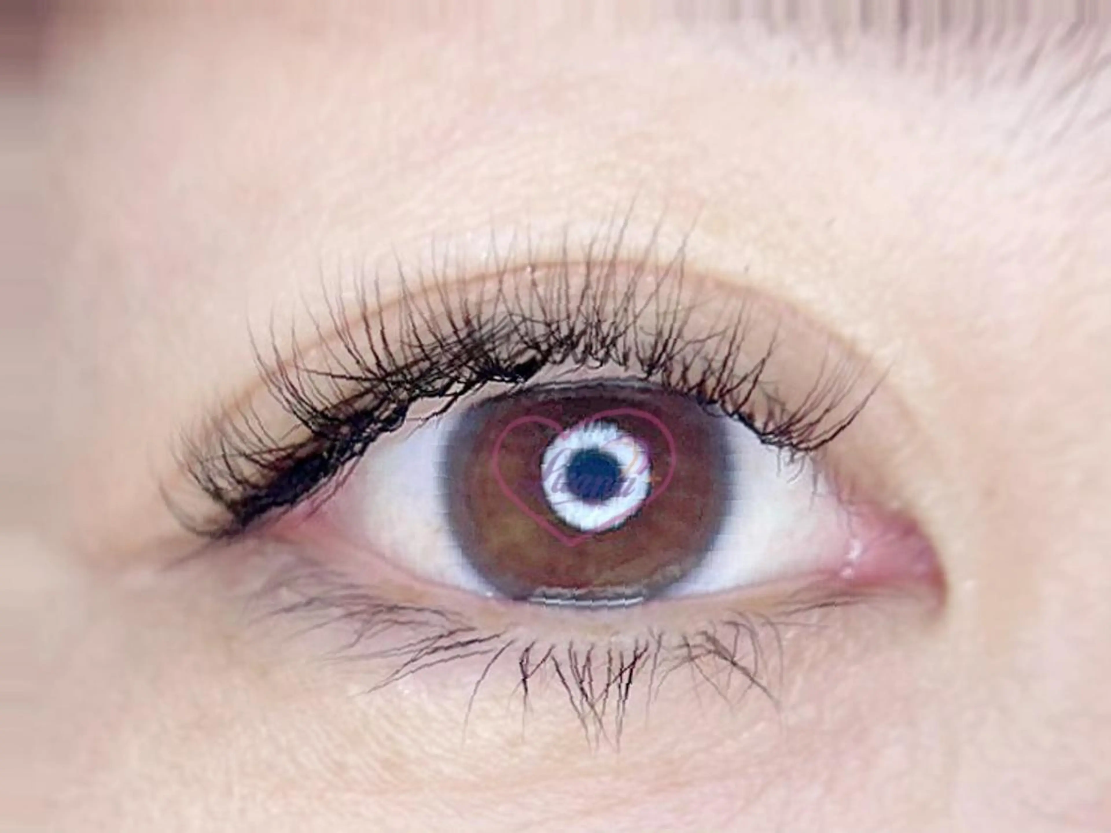 マツエク・マツパ Luana+ Kuroiwaのエステ・リラクイメージ