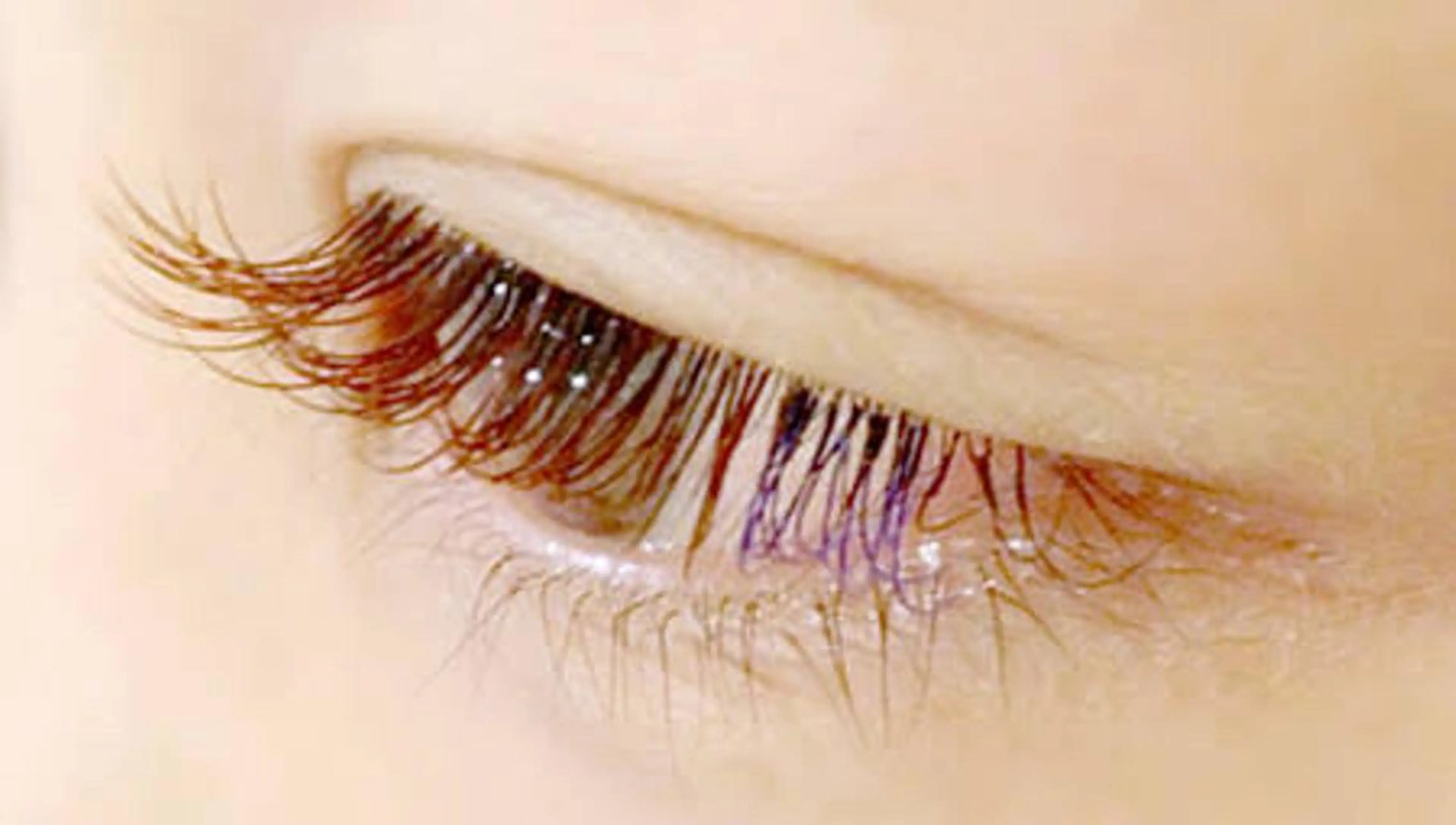 マツエク・マツパ 付け放題 さろんどふじた甲子園所属・江嵜 真由美　　　　甲子園のマツエク・マツパデザイン