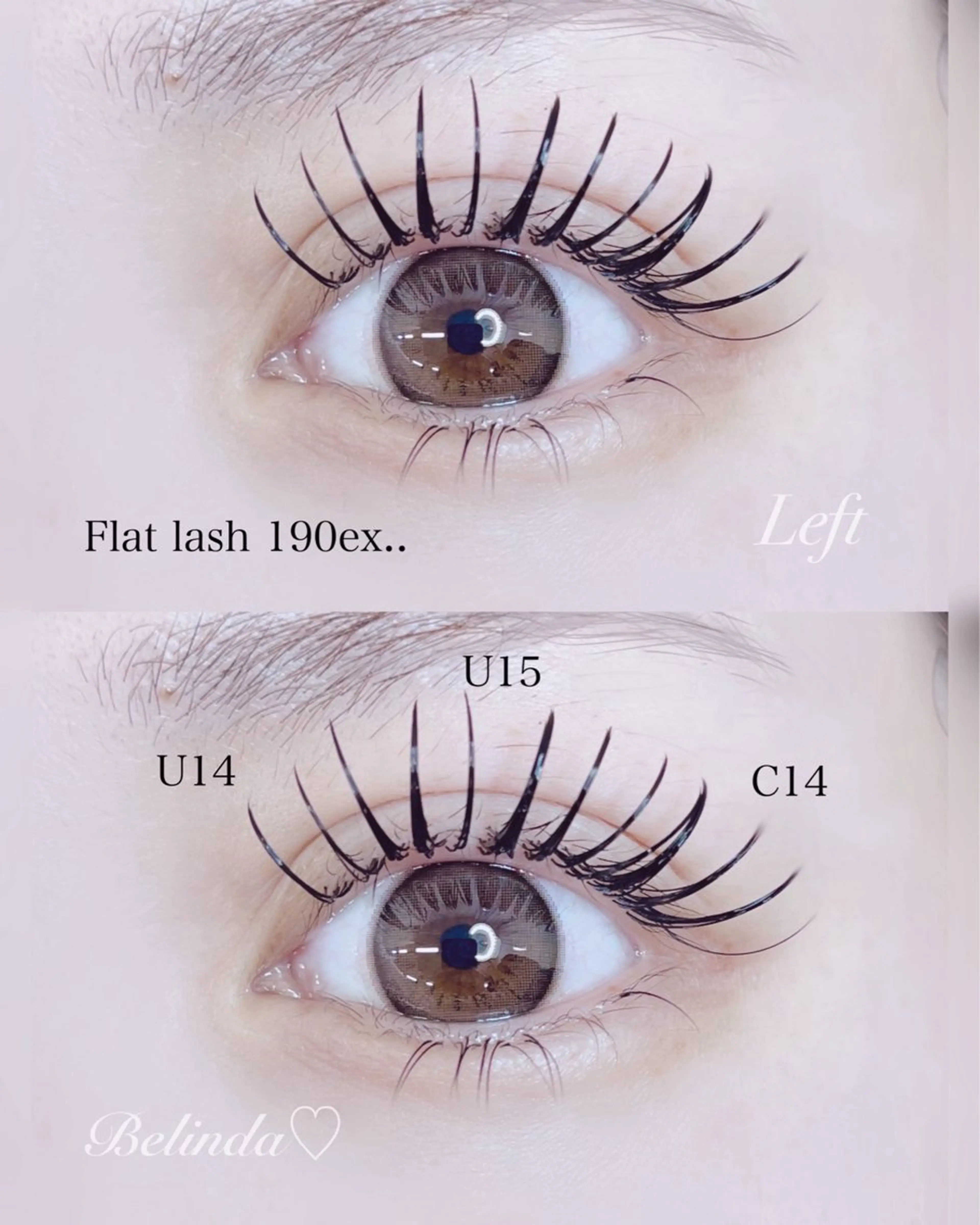 マツエク・マツパ マツエク 桜木町♡ Belindaのマツエク・マツパデザイン