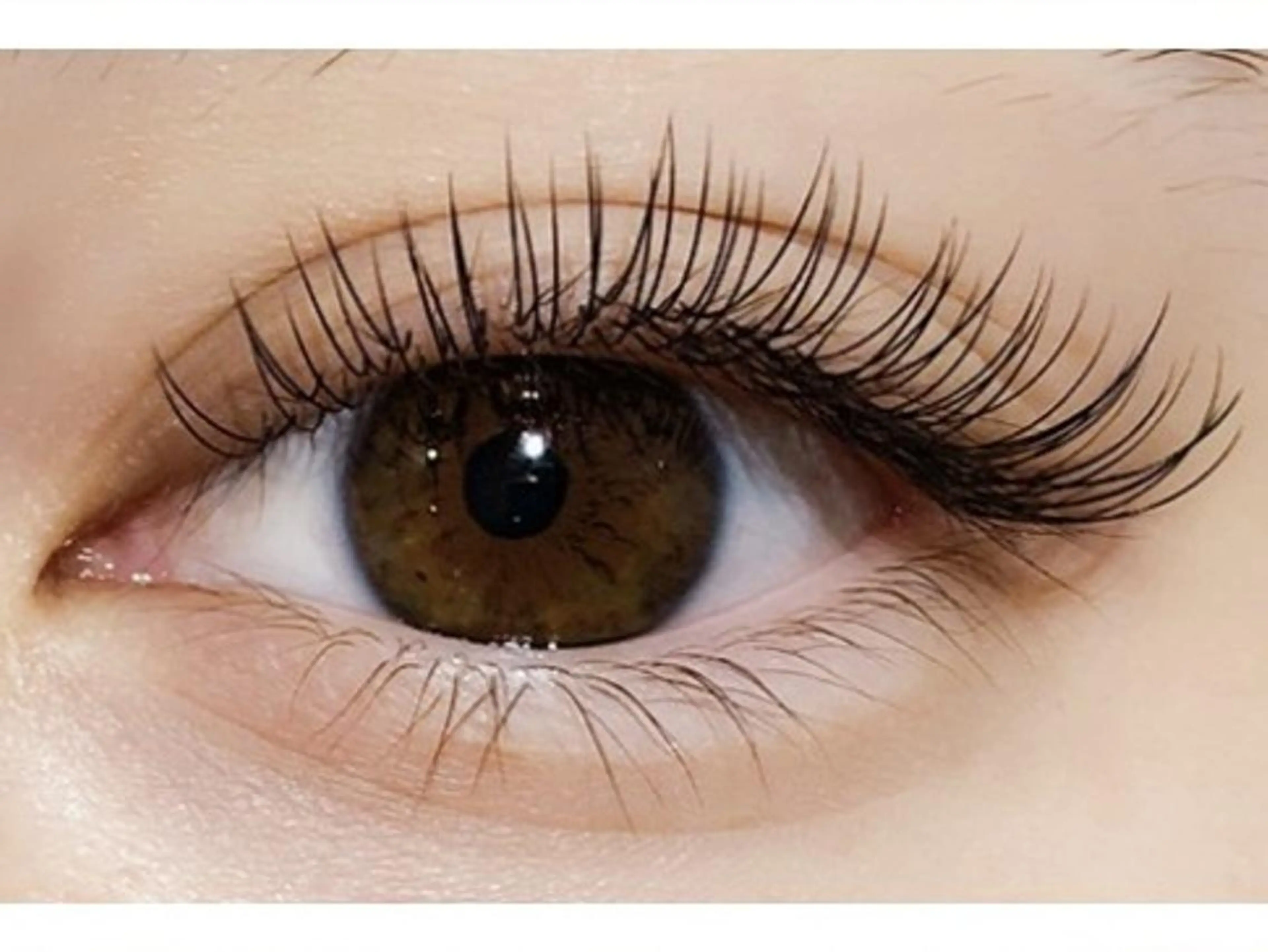 【限定モデル】最高級フラットラッシュ【140本】★オフ込★コーティング付♪の写真