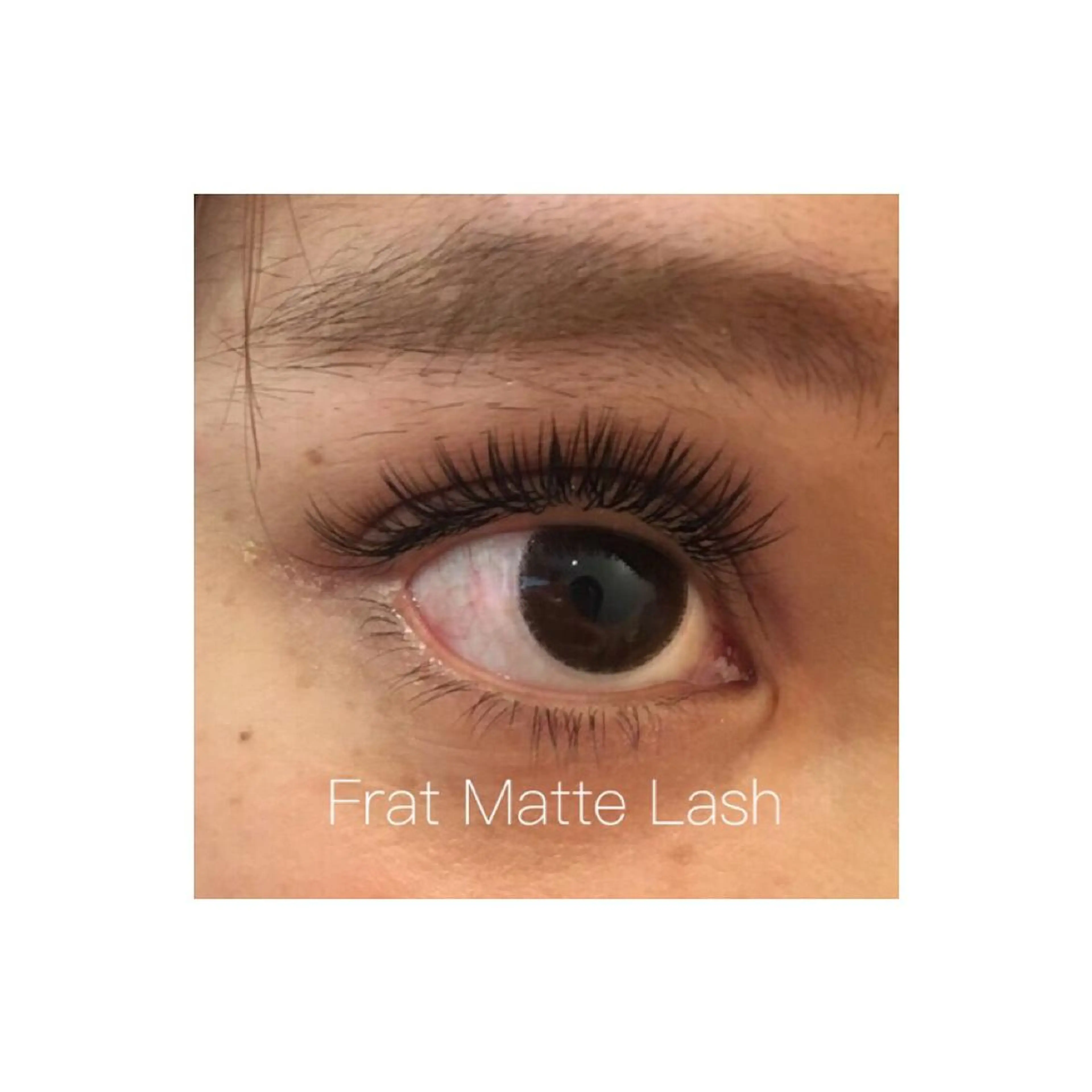 マツエク・マツパ キュート フラットラッシュ Beldad アイリストの眉毛・アイブロウイメージ