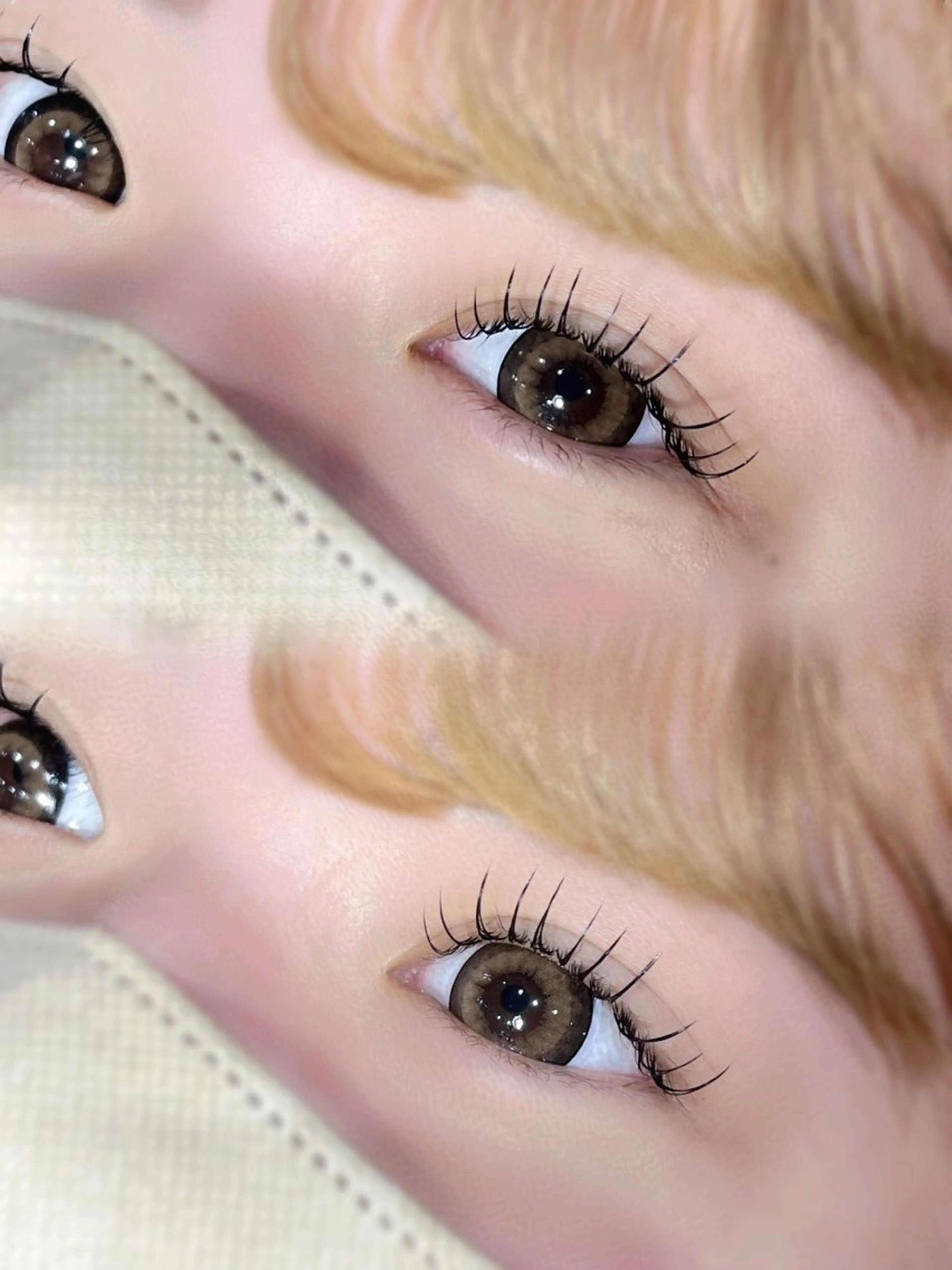 1/16限定❕ダブルフラット120束❄️の写真