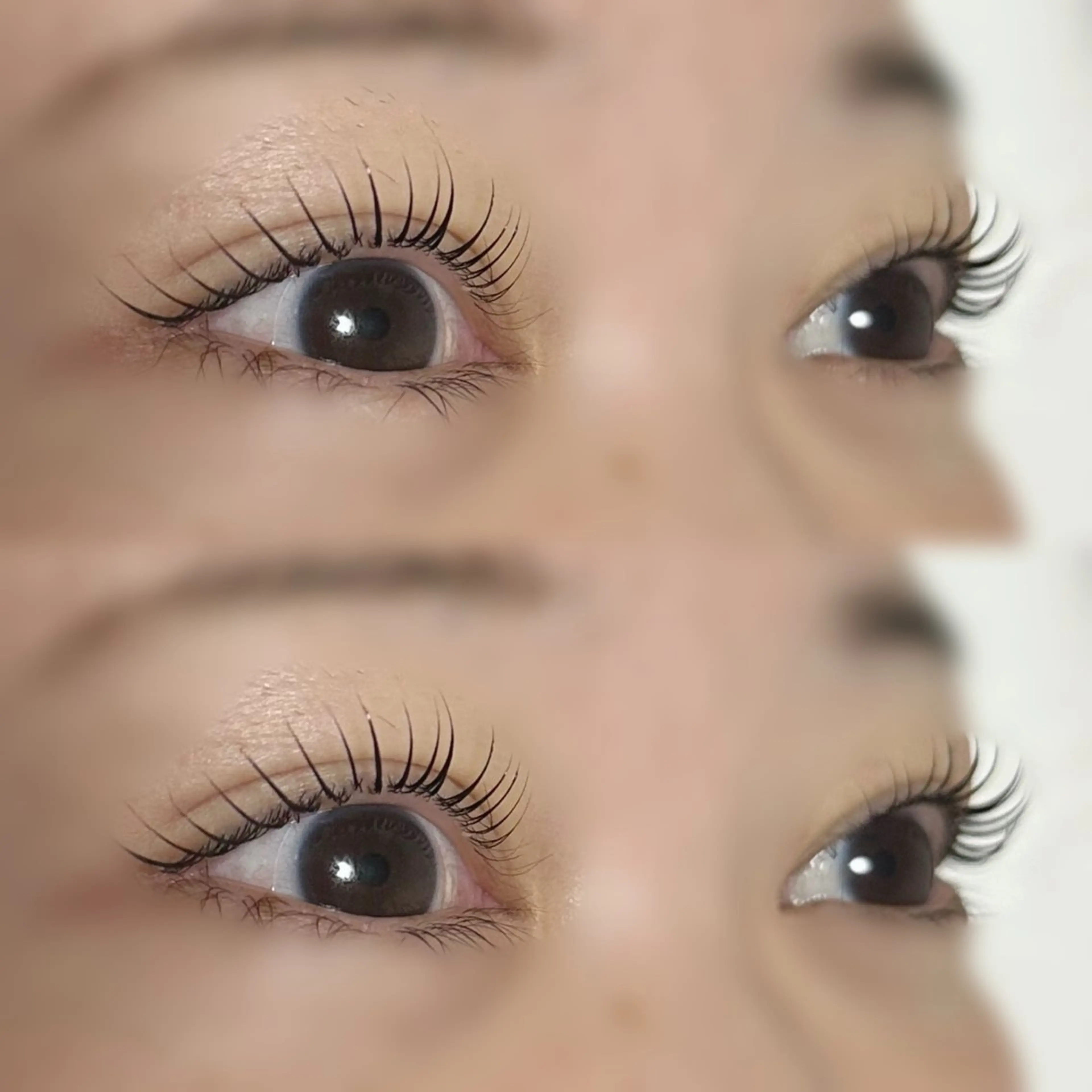 《新規限定》まつ毛パーマ+アイシャンプー+ケラチントリートメント+コーティング仕上げ🎀の写真