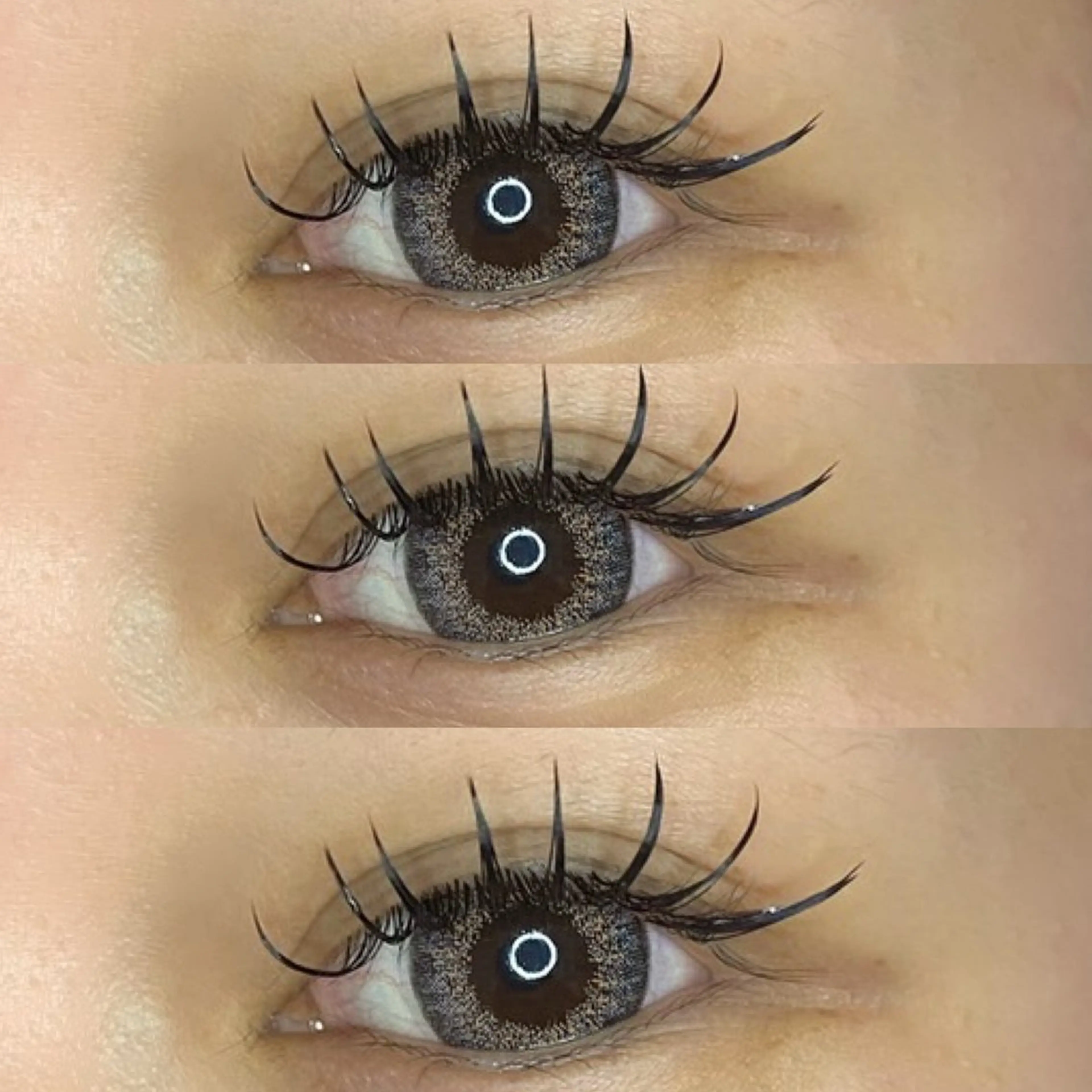 フラットマットラッシュ140本【仕上げコーティング付き】の写真