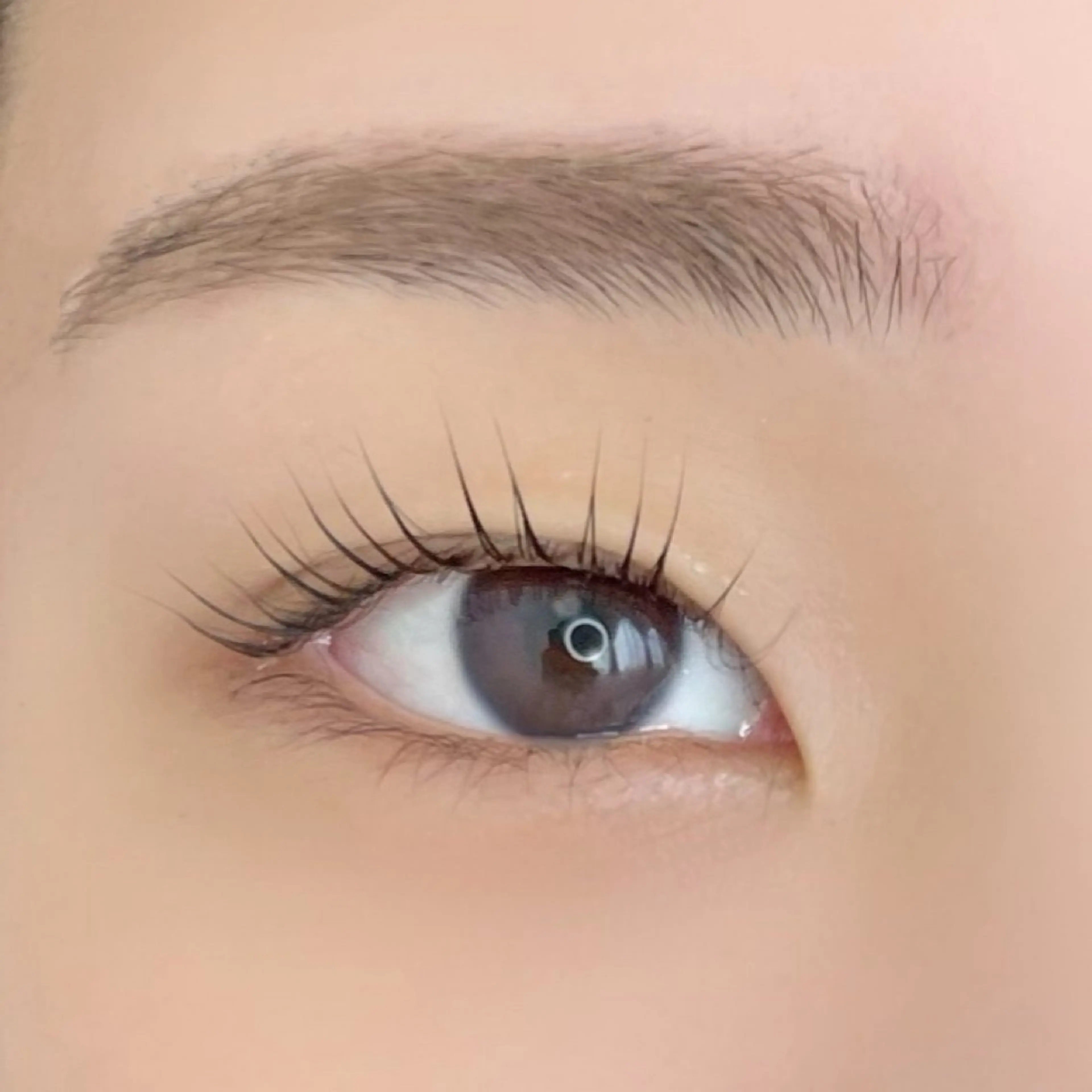 マツエク・マツパ パリジェンヌラッシュリフト Seary eyelashsalon所属・セアリー アイラッシュサロンの眉毛・アイブロウイメージ