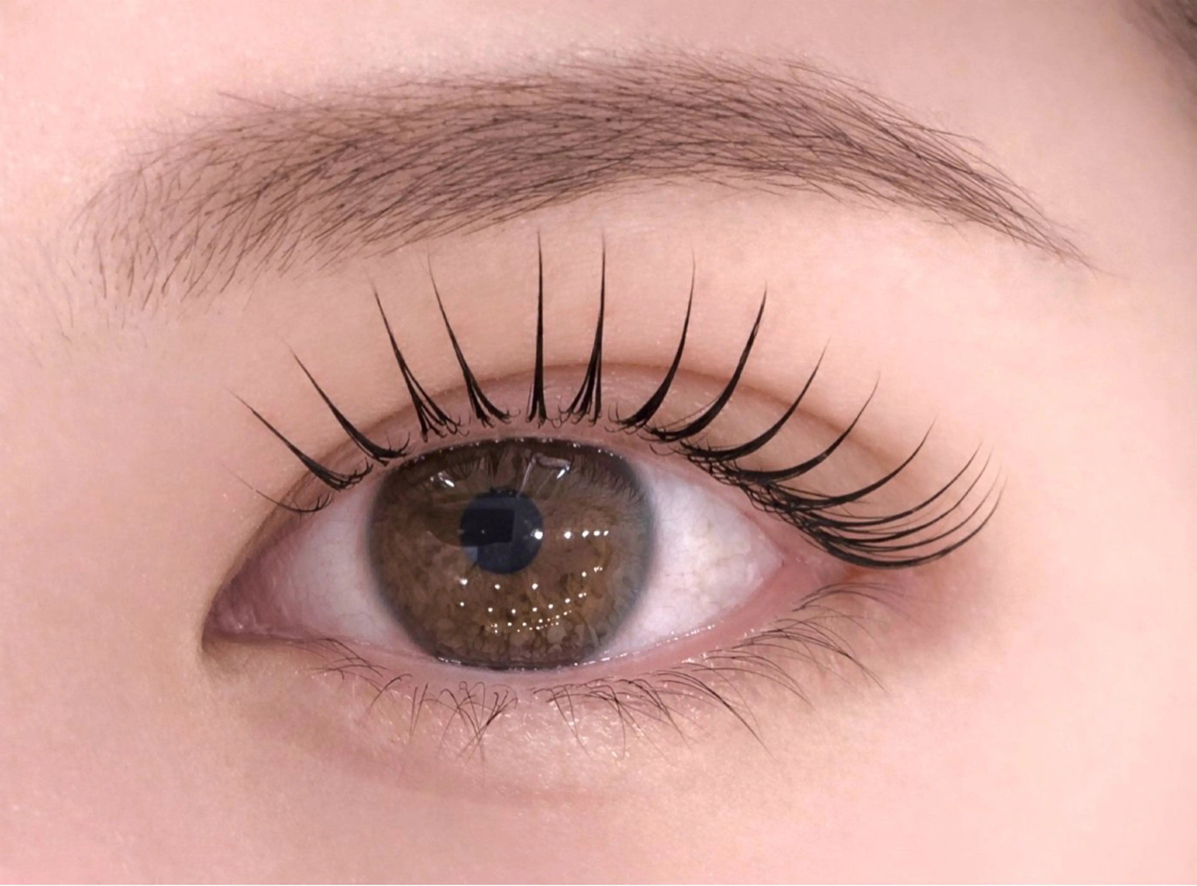 マツエク・マツパ マリーテレジア KUBOTA🪽のマツエク・マツパデザイン