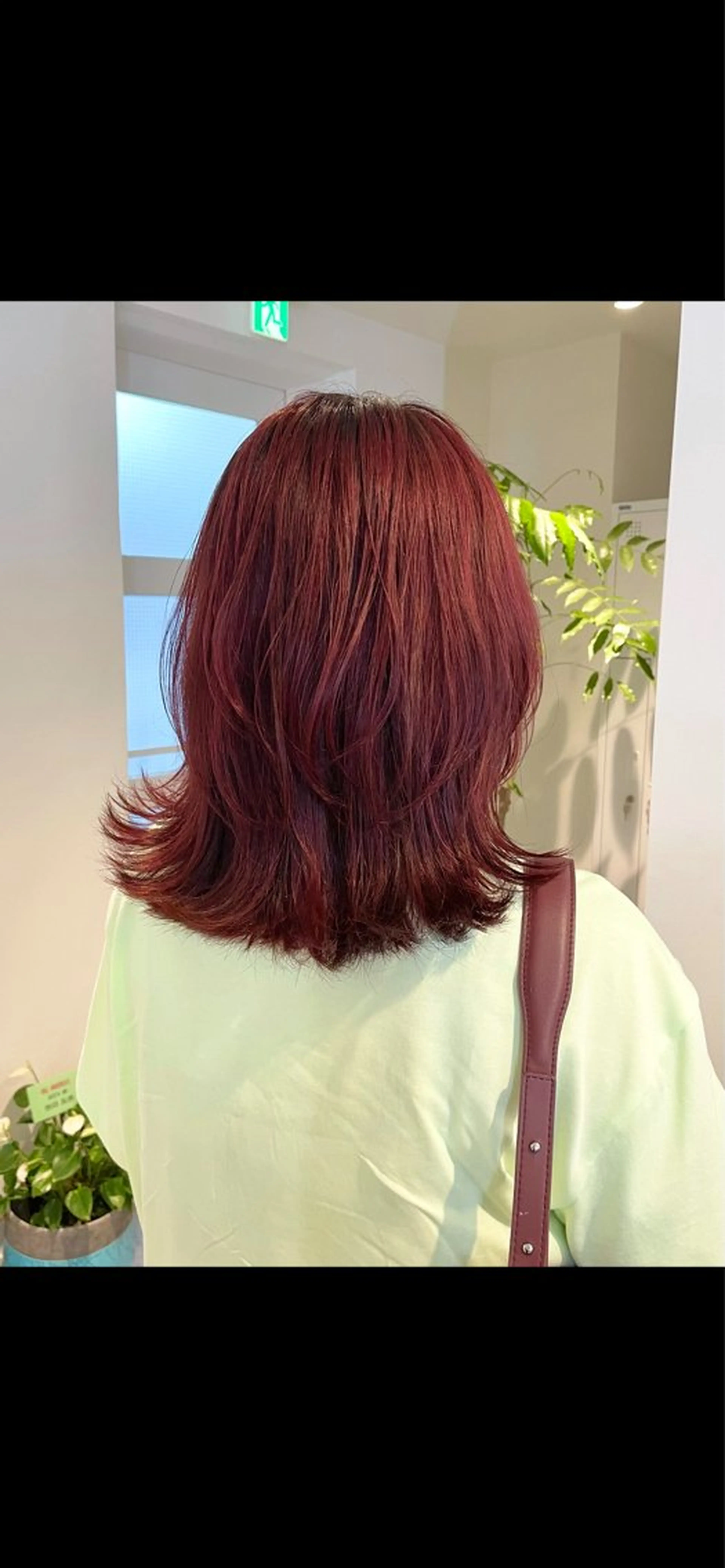 ショート カラー hayaka todaのヘアスタイル