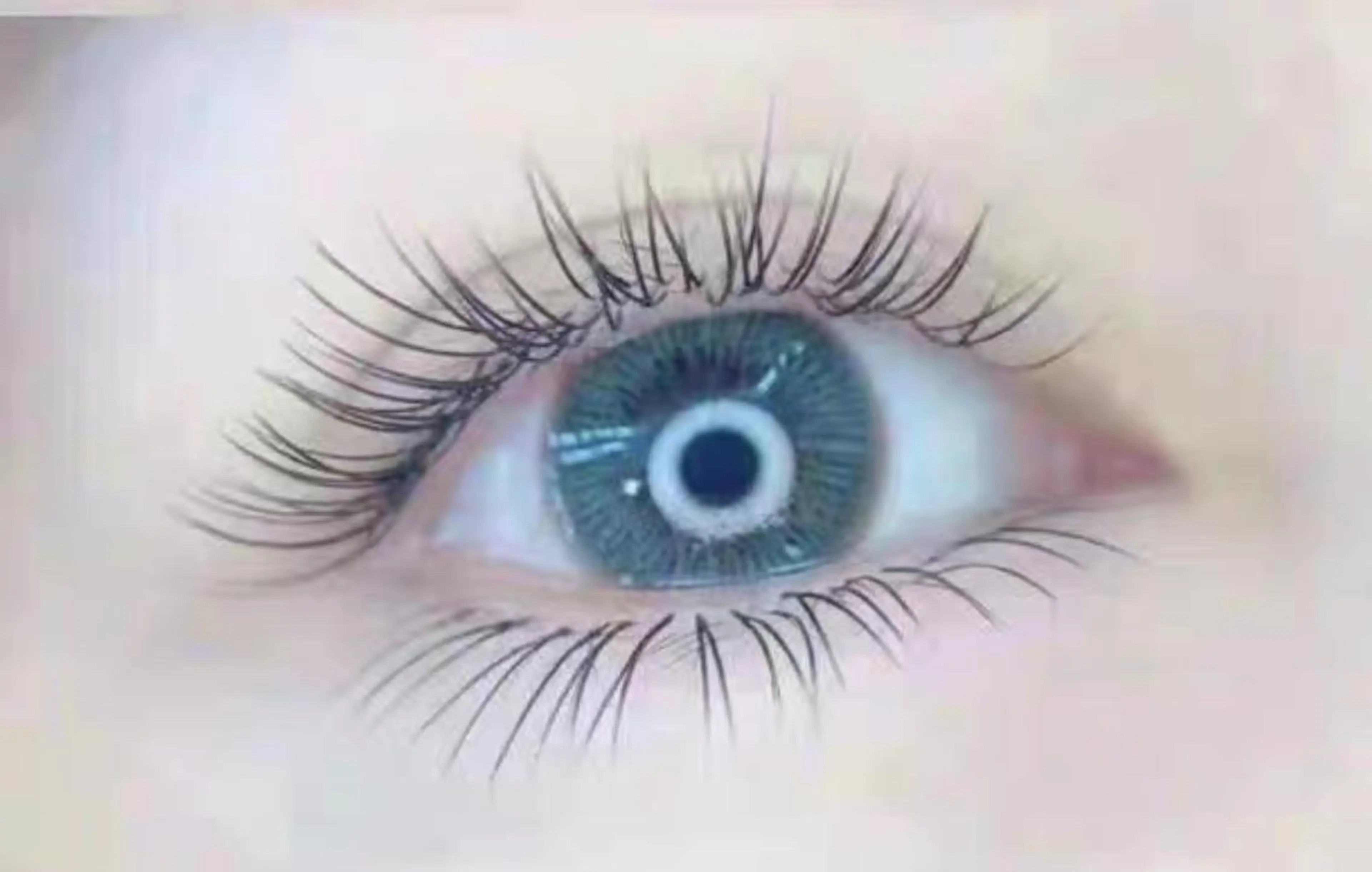 マツエク・マツパ セーブル Cute B e au t yのマツエク・マツパデザイン