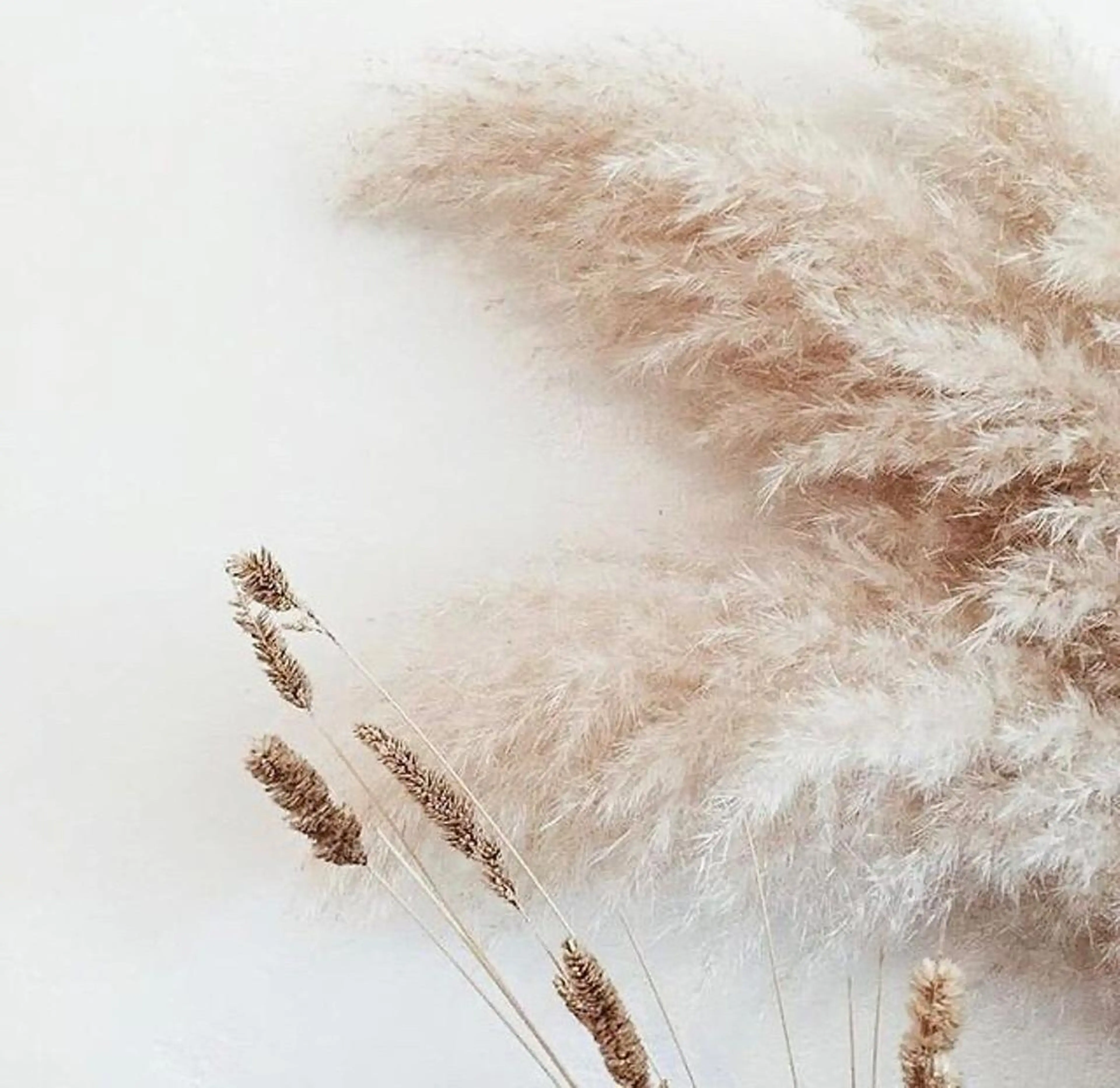 ネイル マツエク・マツパ マツエク まつえく屋さん 【M A L O】のマツエク・マツパデザイン