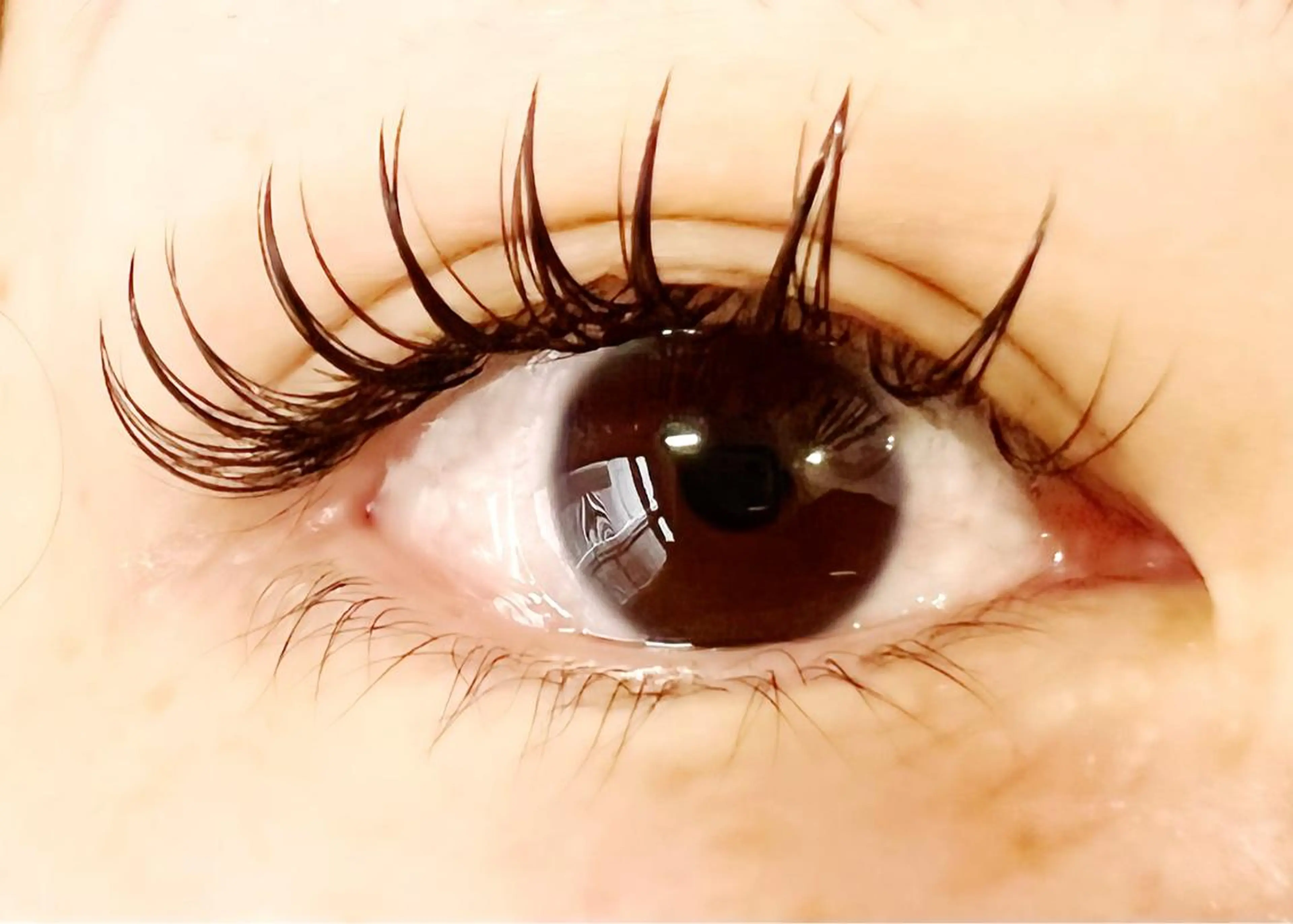 マツエク・マツパ バインドロック 束感まつ毛 Celeste Venus所属・🧸Celeste Venusのマツエク・マツパデザイン