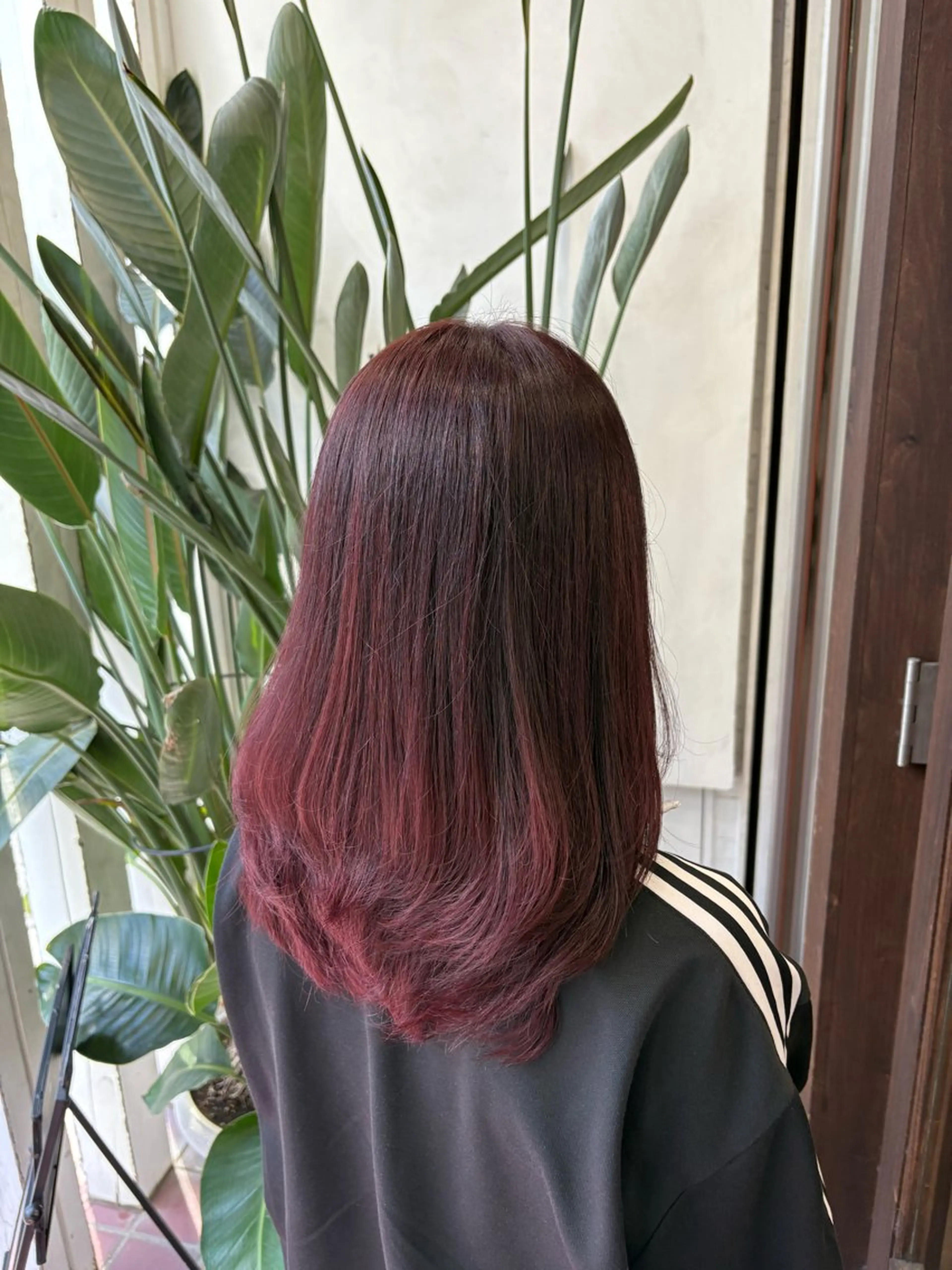 ミディアム カラー 髪質改善🌿‬/艶感 /髙木 優人のヘアスタイル