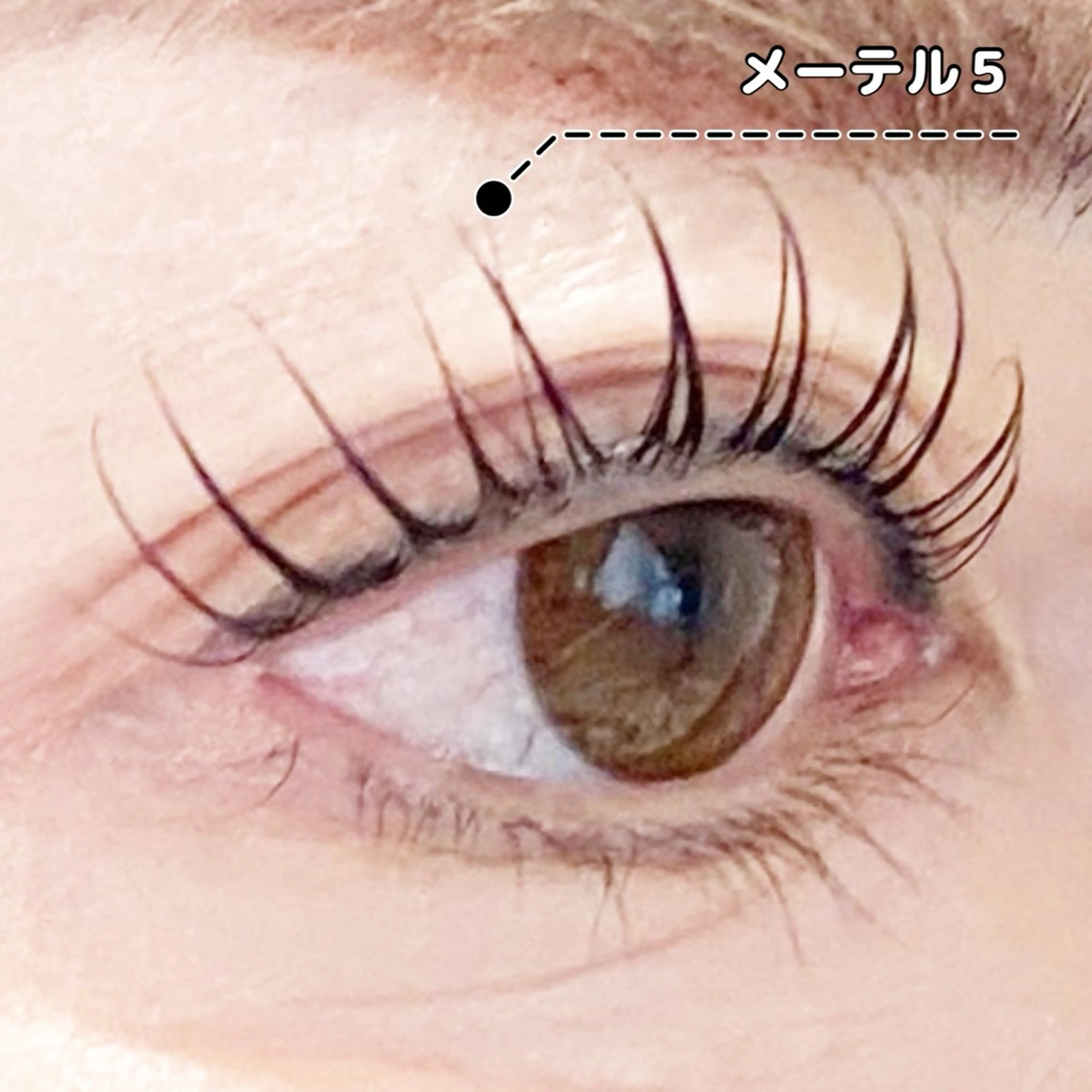 マツエク・マツパ LC尾張旭店所属・LC尾張旭店🫧 いしいのマツエク・マツパデザイン