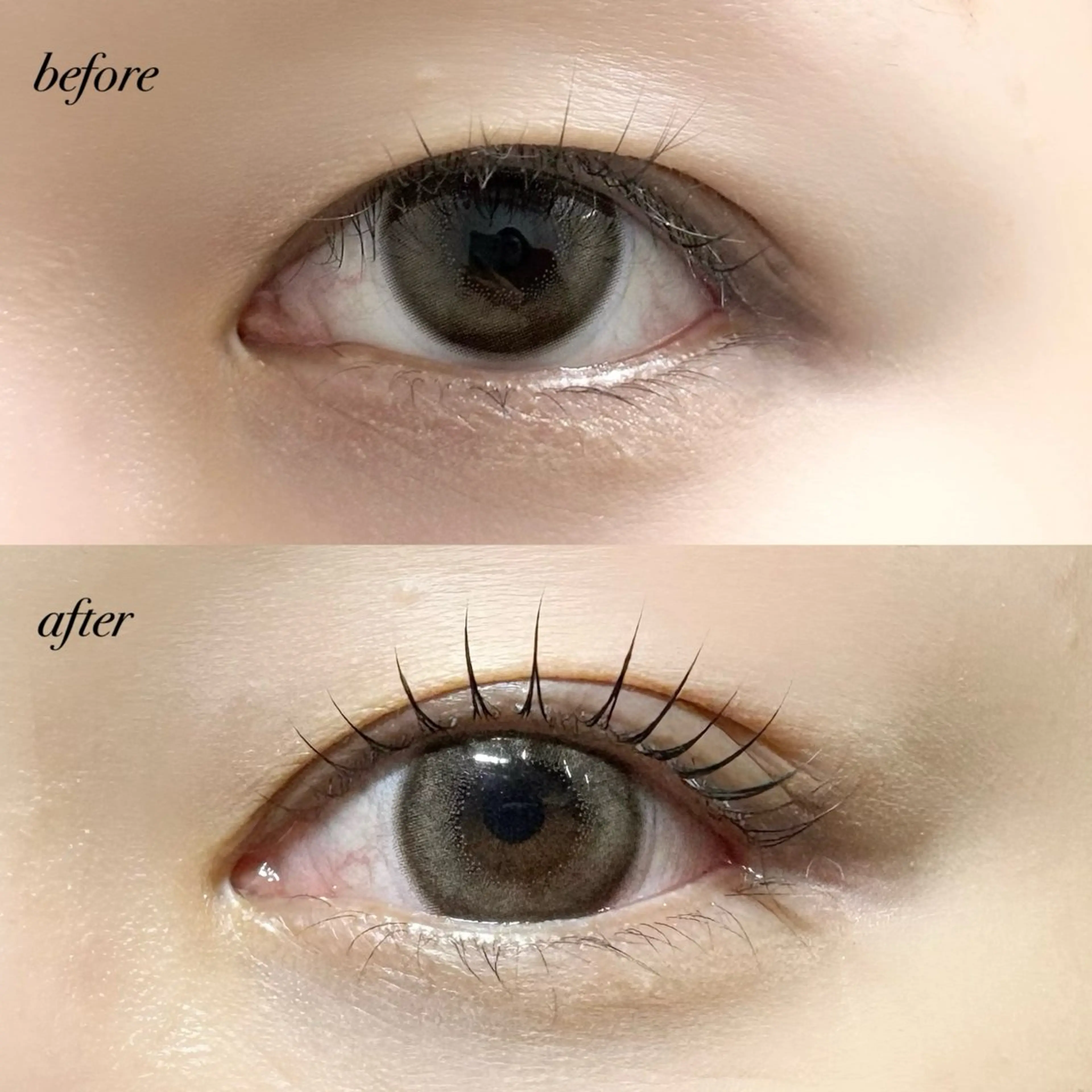 マツエク・マツパ 一重×まつ毛パーマ eyenico 梅田店のマツエク・マツパデザイン