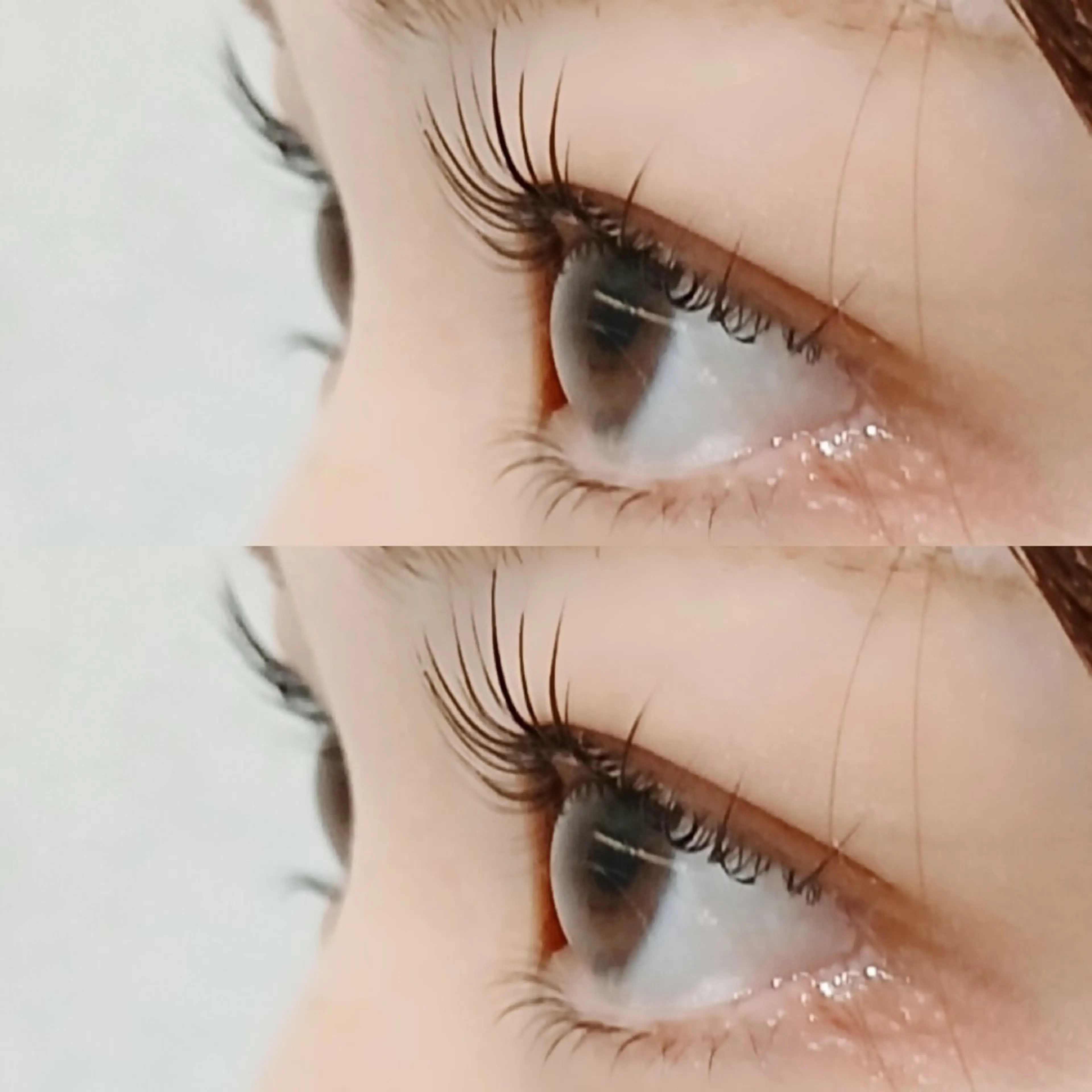 【今月限定】ラッシュリフト 上下 🌿🫧コーティング付き🤍〔 土日祝+550円 〕の写真