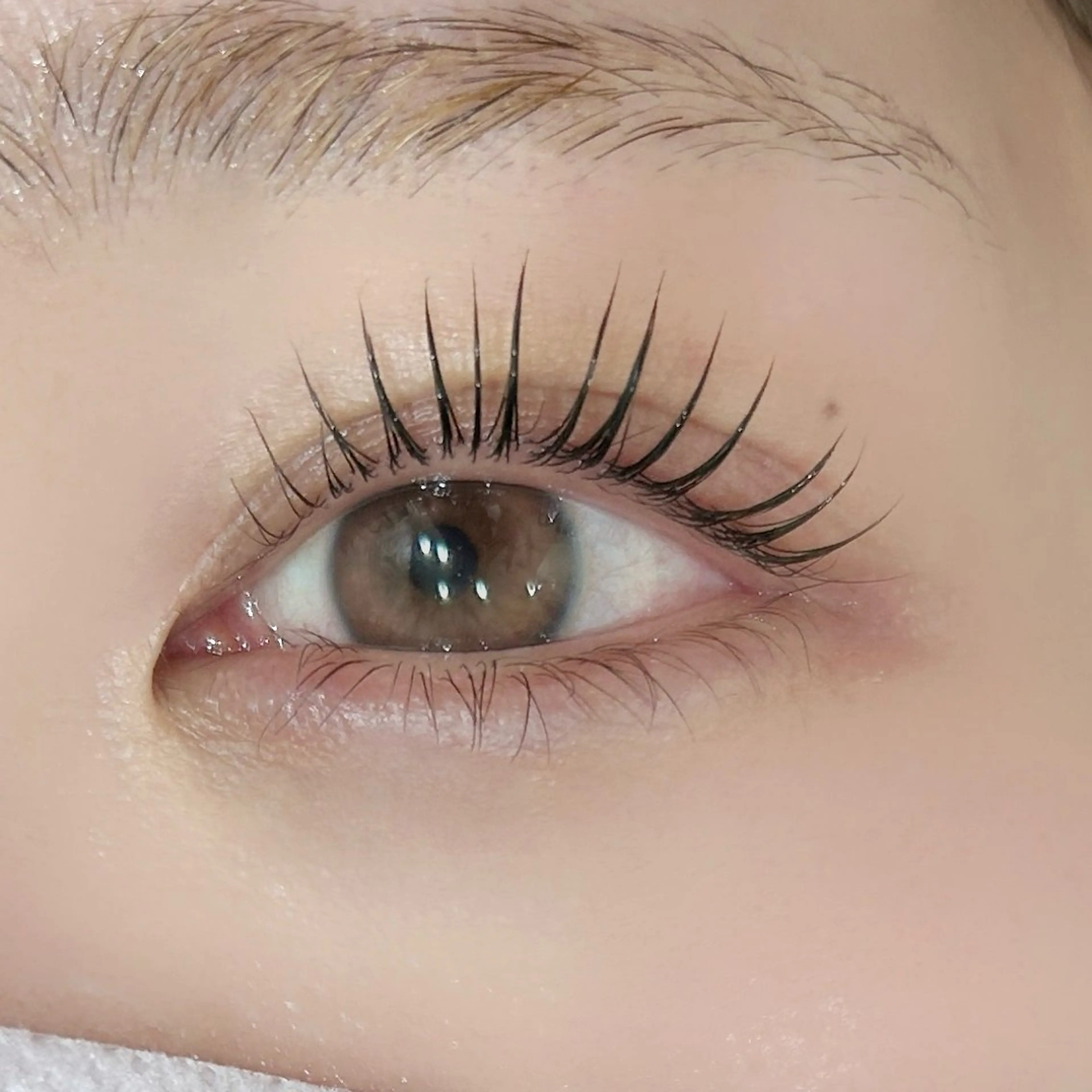 🉐【束感◎人気No.1♡】🫧潤いパリジェンヌラッシュリフト🎀🫧💕の写真