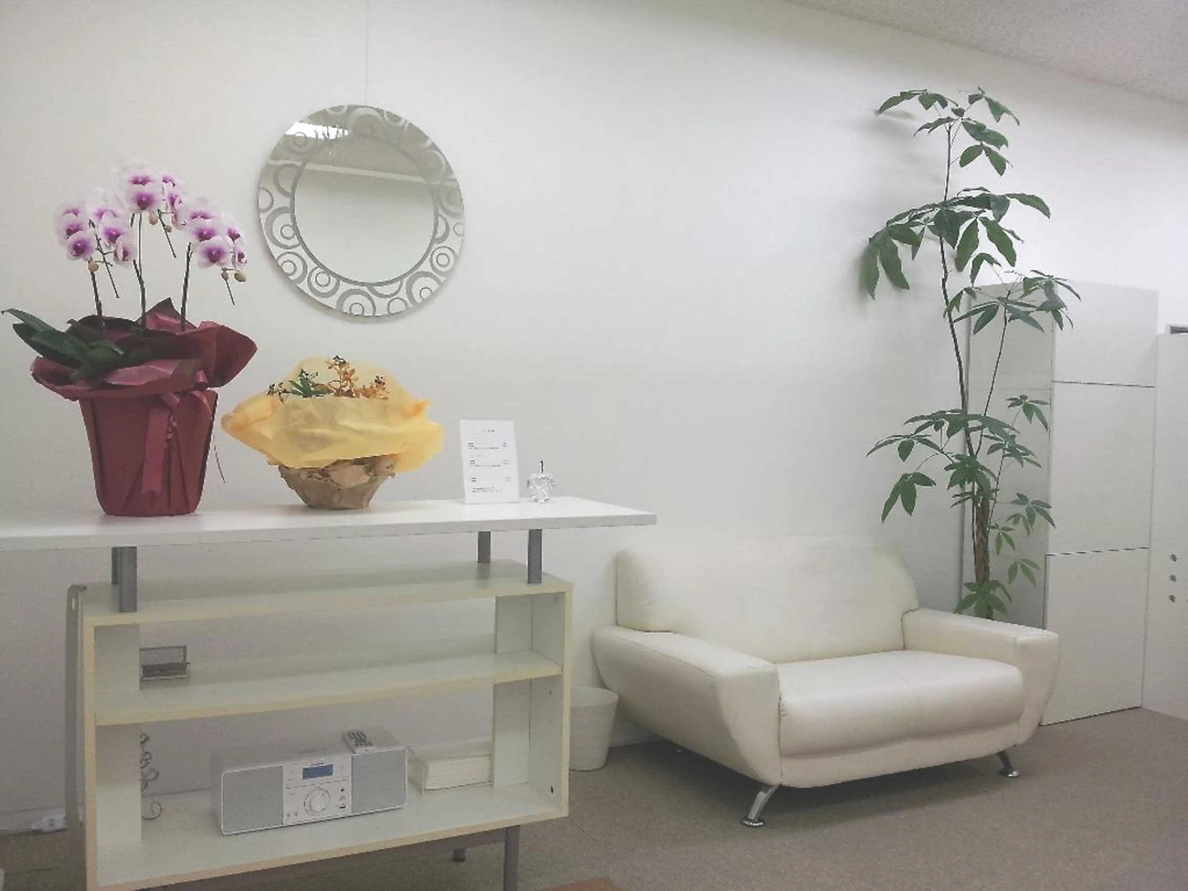 横浜ロイヤルカイロプラクティック所属・横浜ロイヤル カイロプラクティックのエステ・リラクイメージ