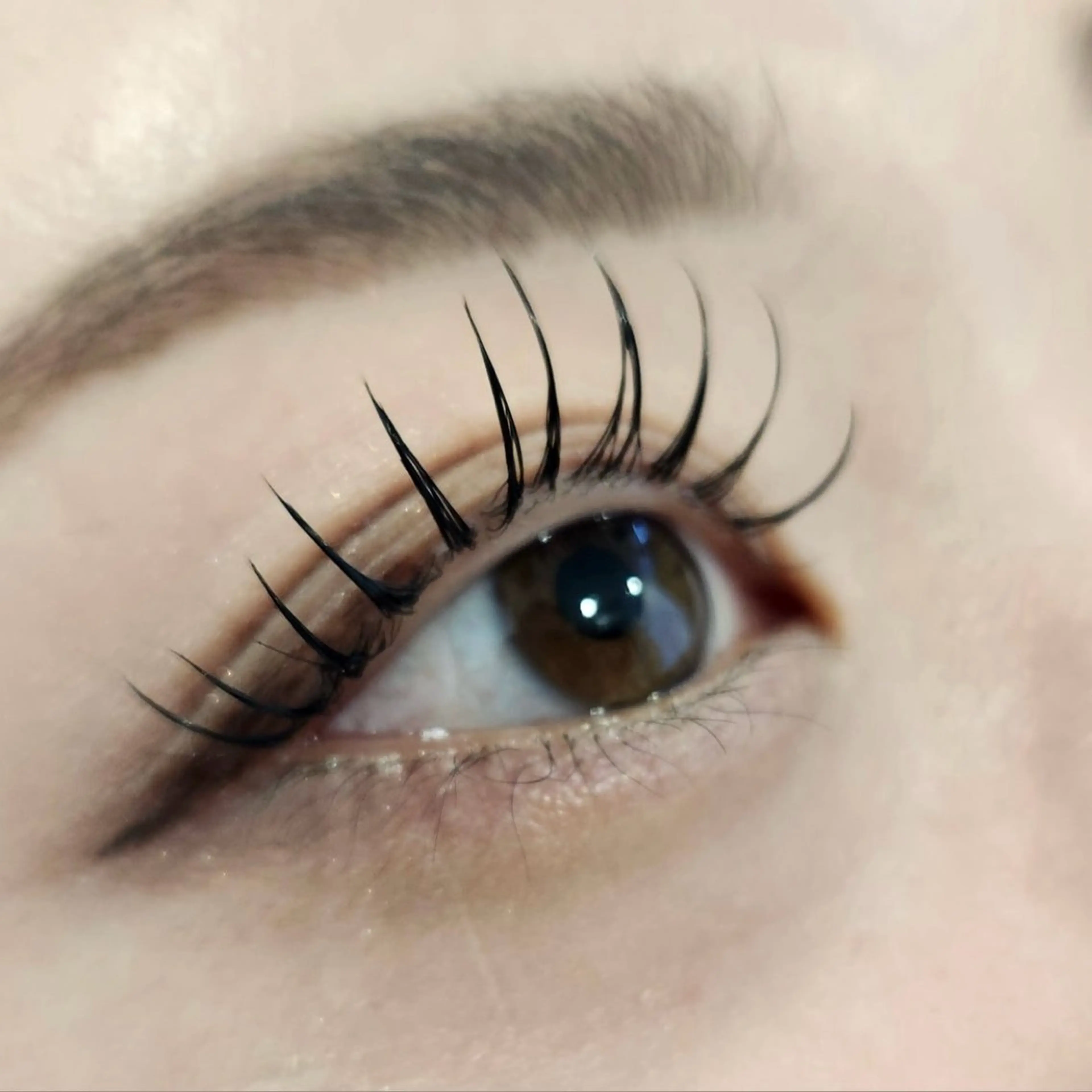 マツエク・マツパ クルミ ⟡.·のマツエク・マツパデザイン