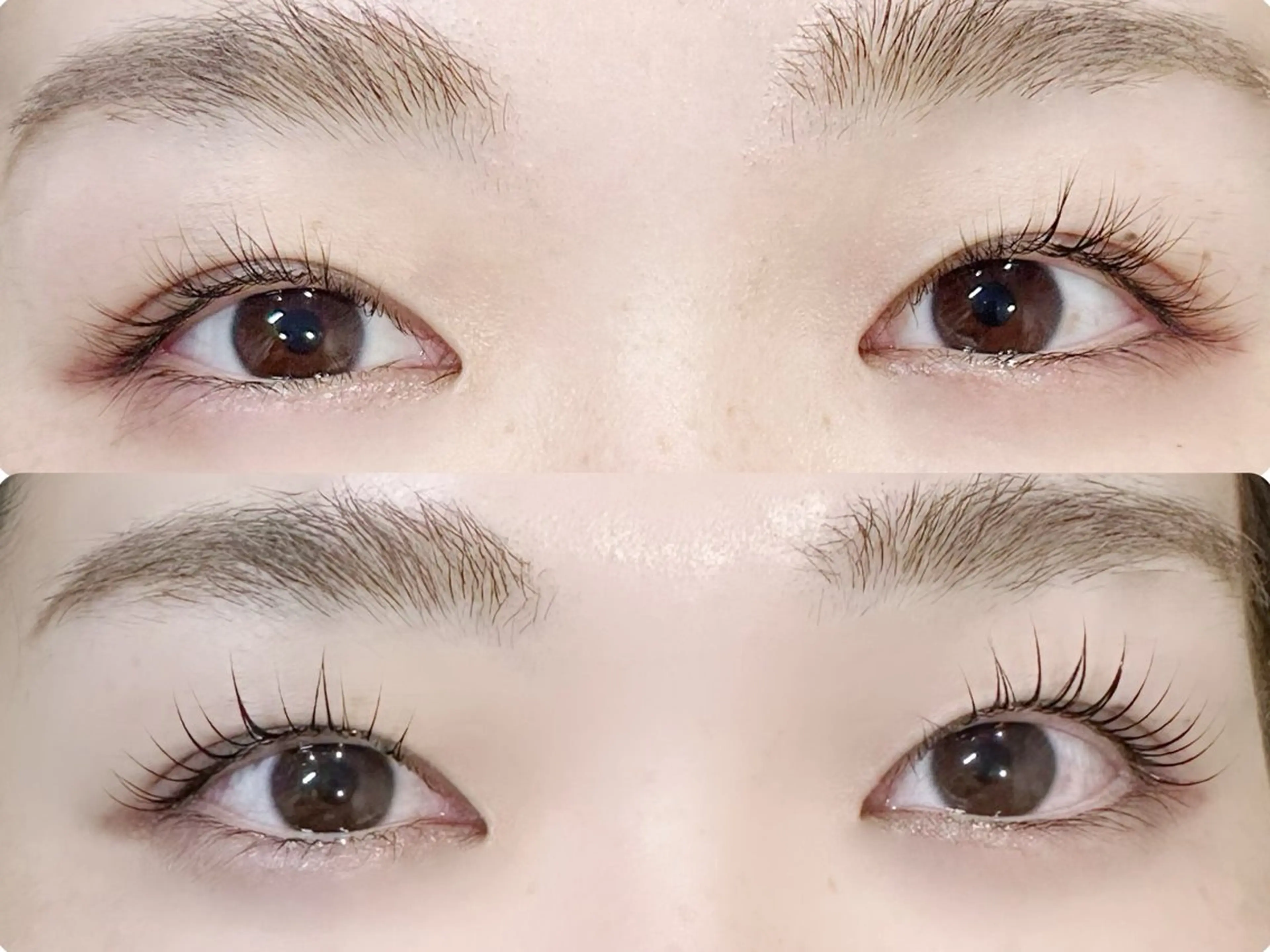 ラッシュリフトの写真