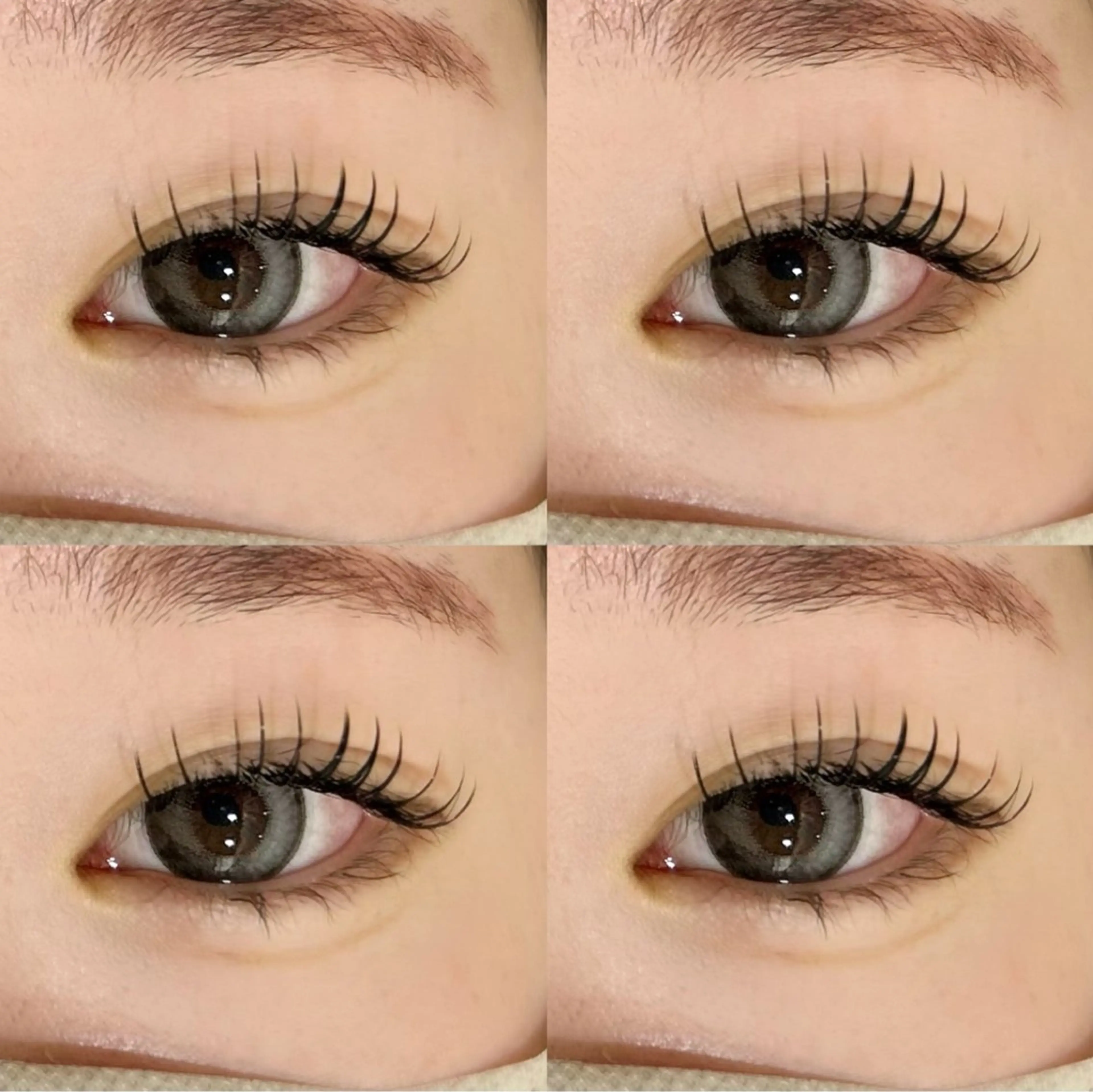 【ミニモ限定】✳︎フラットラッシュ✳︎140本 ※ブラウンエクステ変更可🌼の写真