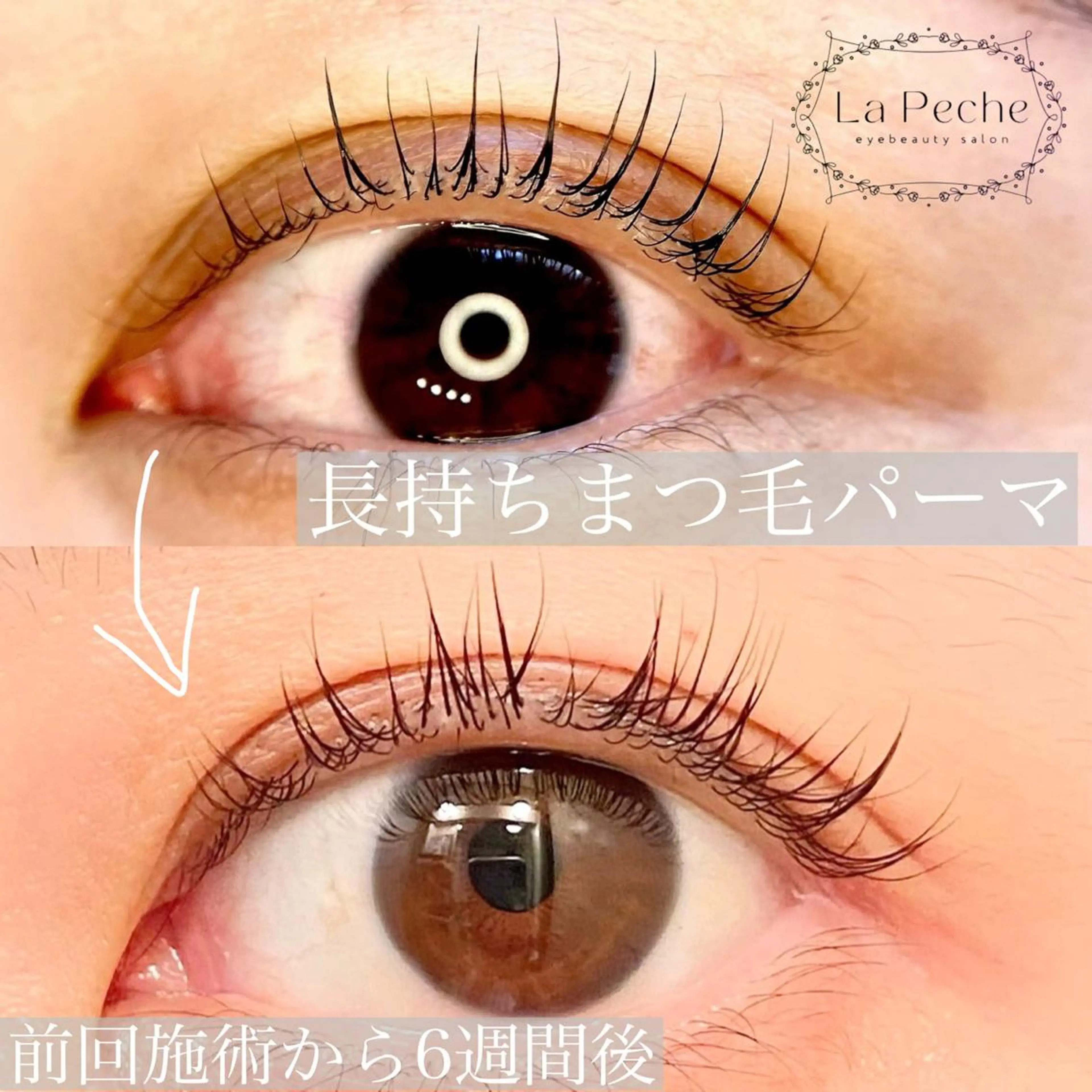 マツエク・マツパ La Peche momokoのマツエク・マツパデザイン