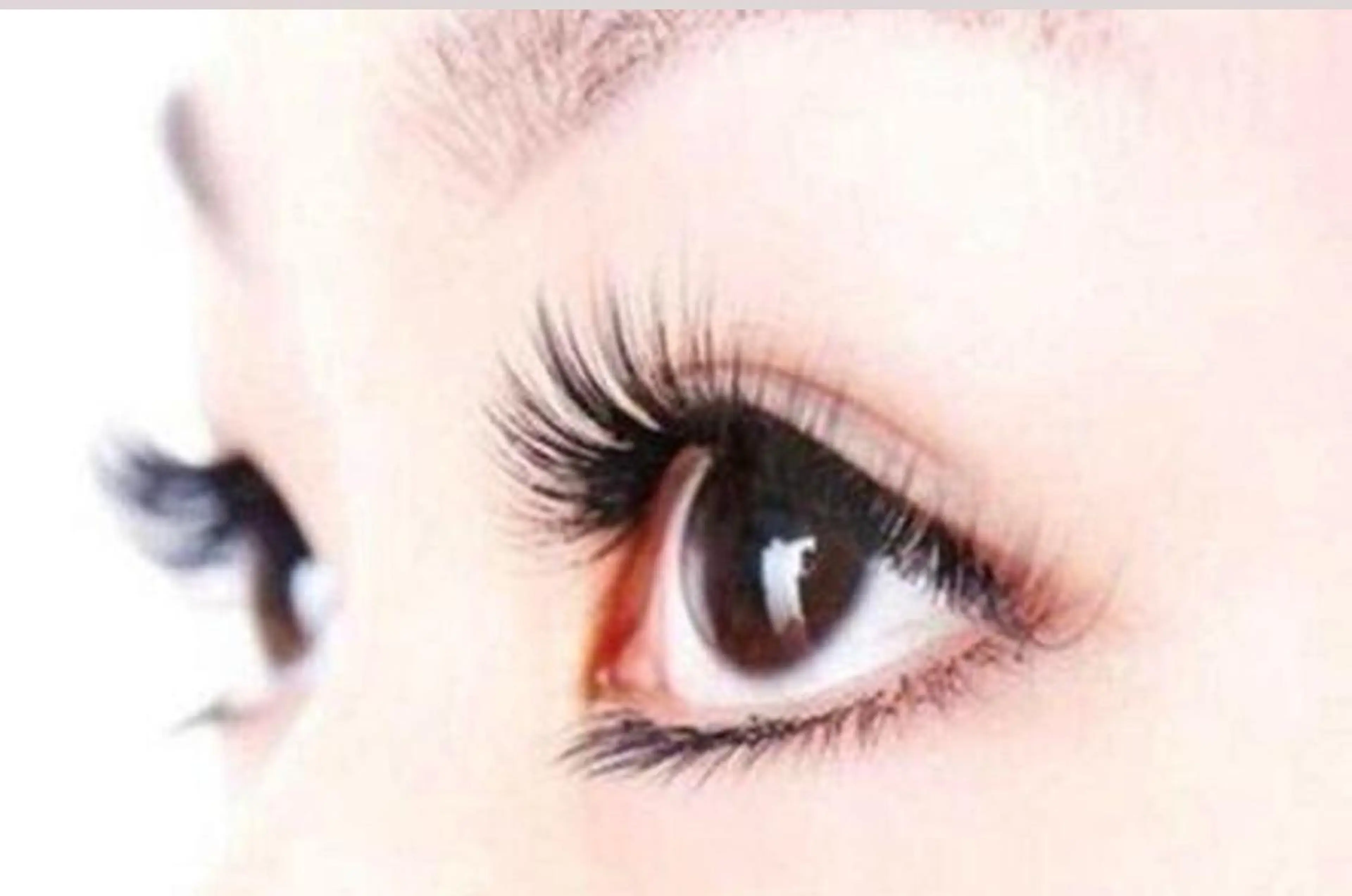 【新規】高級エアセーブル(上) 付け放題　オフ込の写真