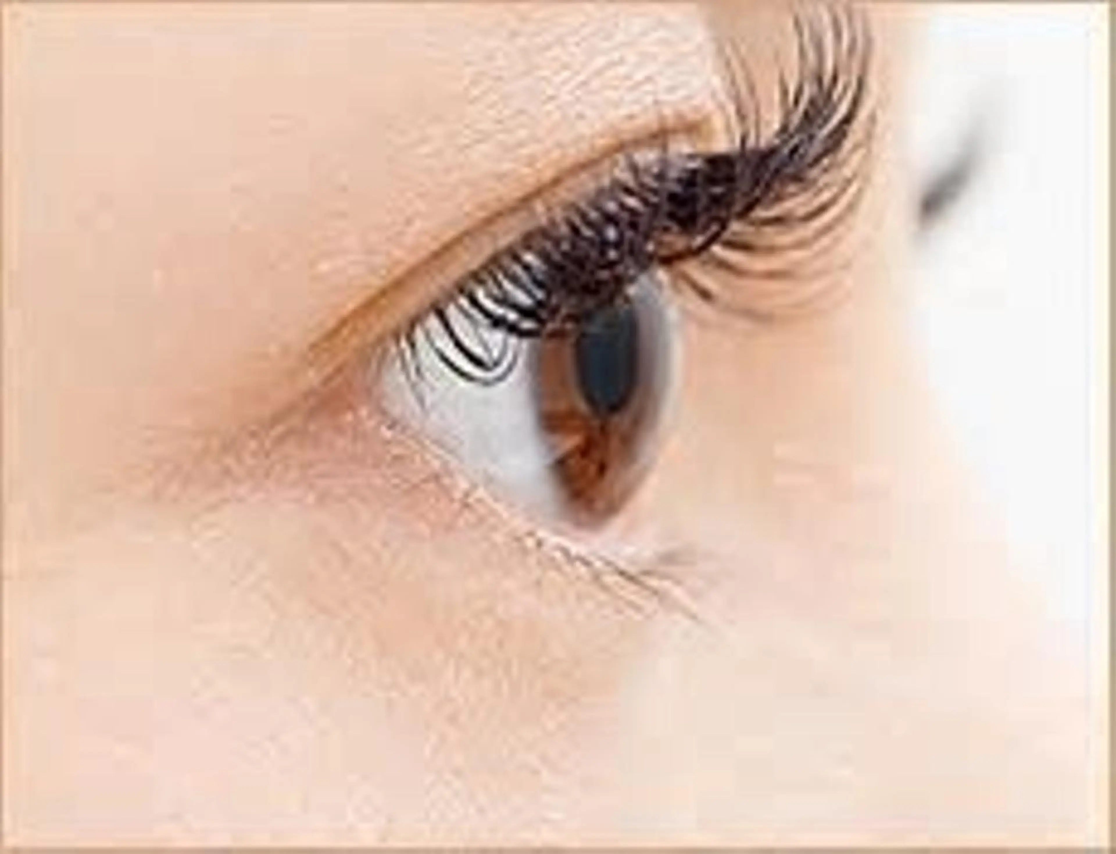 ♥️ダブルフラットラッシュ80束（160本）♥️オフ込みの写真