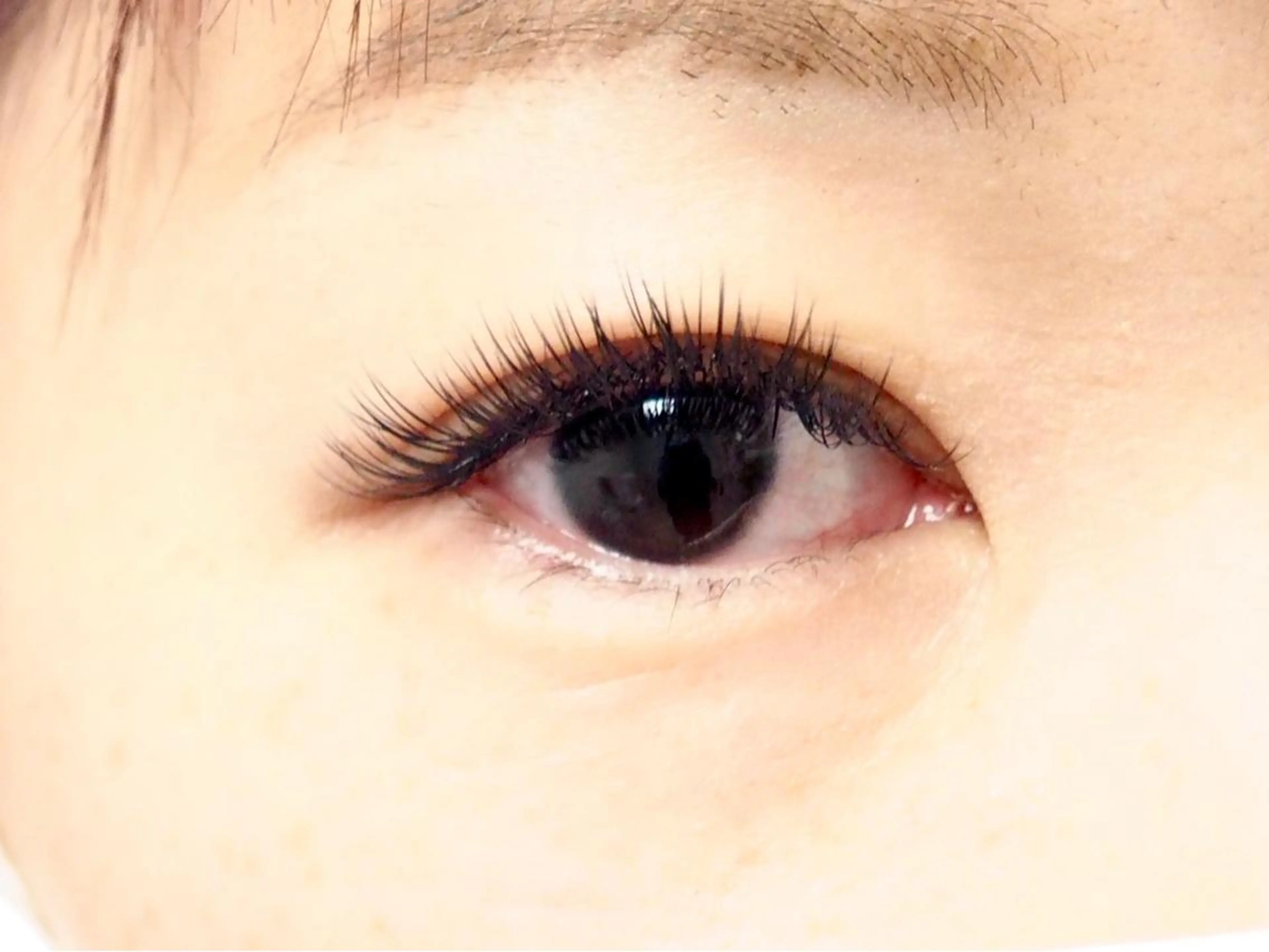 マツエク・マツパ まつ毛エクステ／まつ毛パーマ／フェイシャル／beautysalon cocora所属・ビューティーサロン ココラのマツエク・マツパデザイン