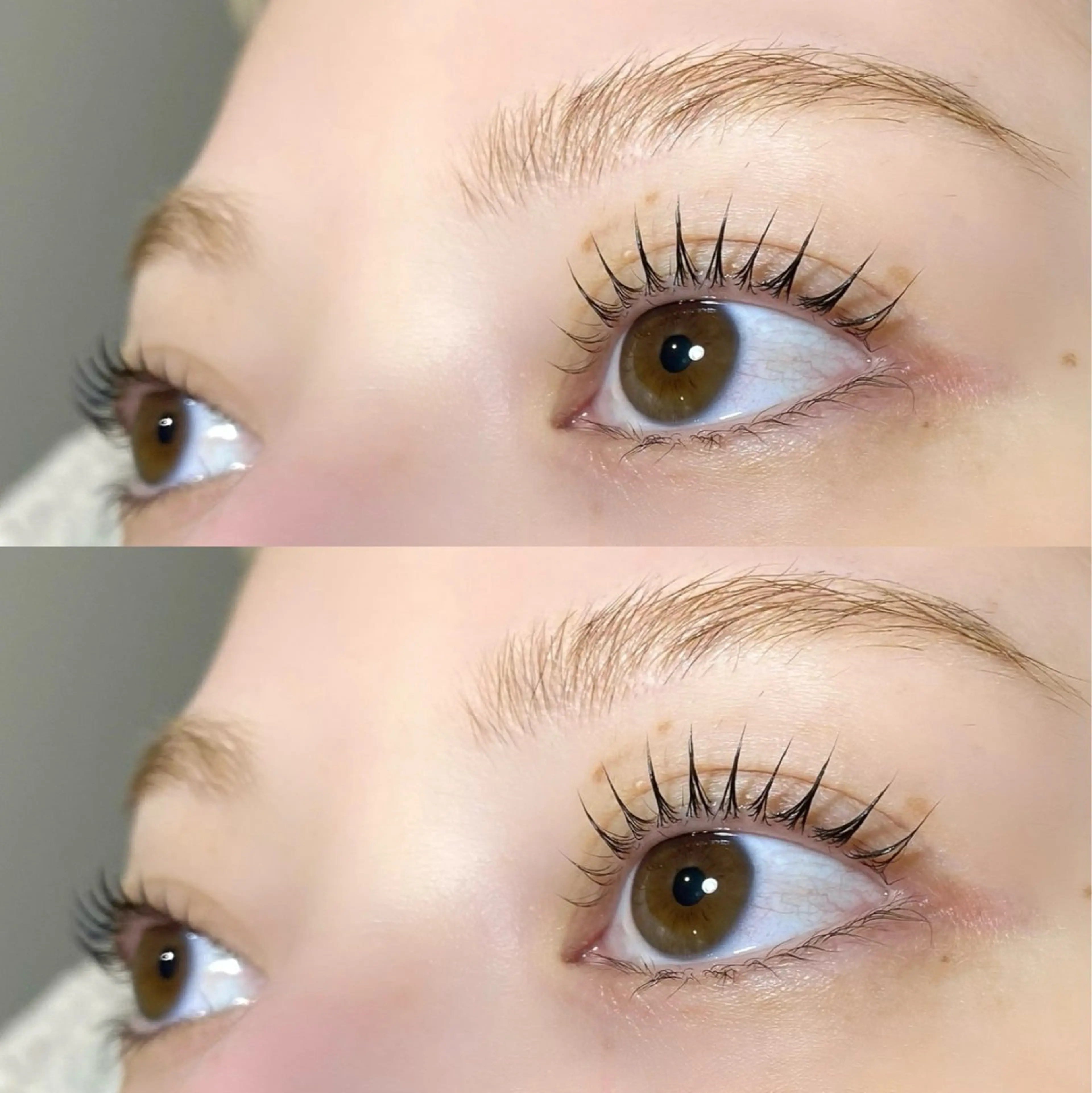 マツエク・マツパ パリジェンヌラッシュリフト Pupu lash(ププラッシュ)所属・🐶Pupu lash🐶のマツエク・マツパデザイン