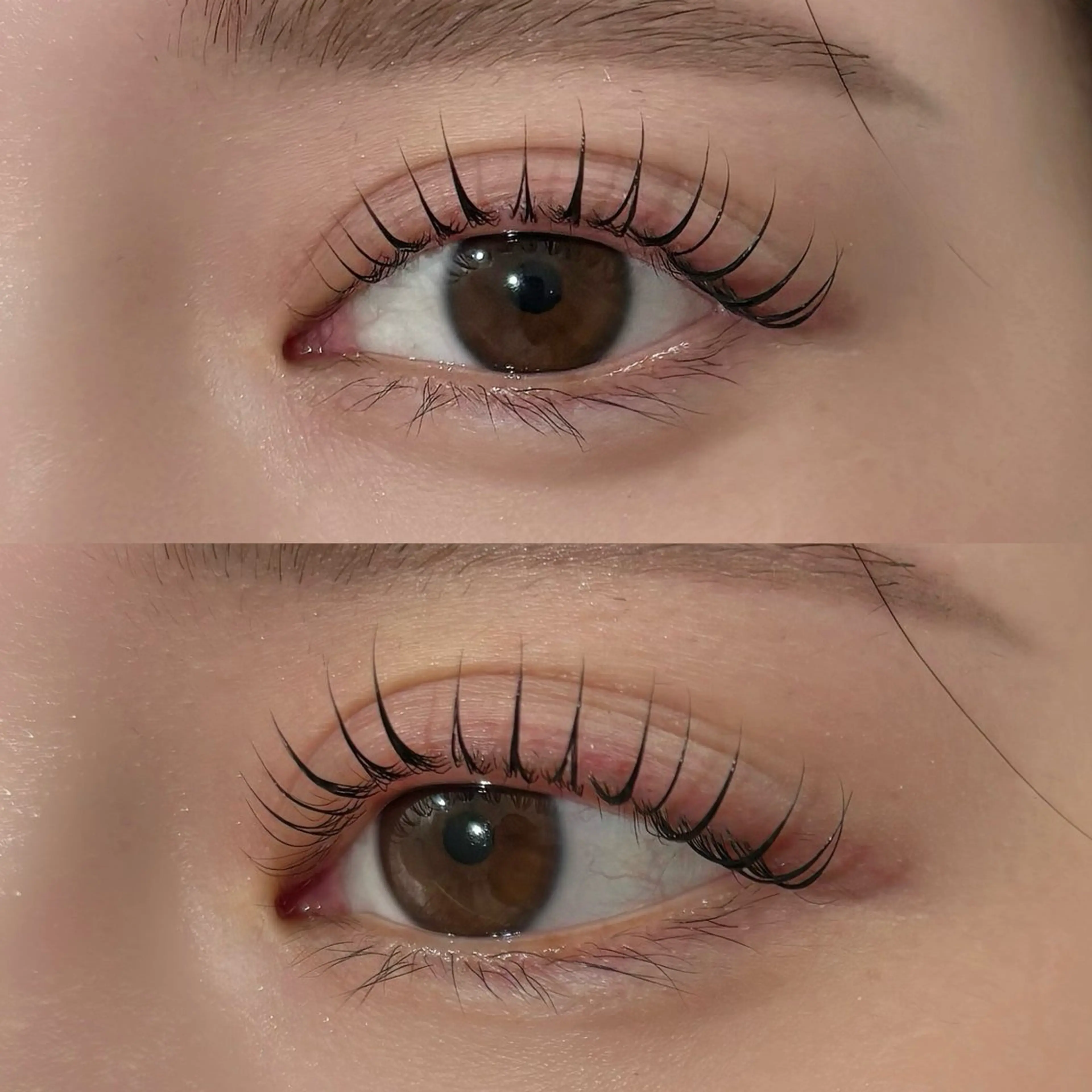 【期間限定】🧡似合わせ上まつ毛パーマの写真