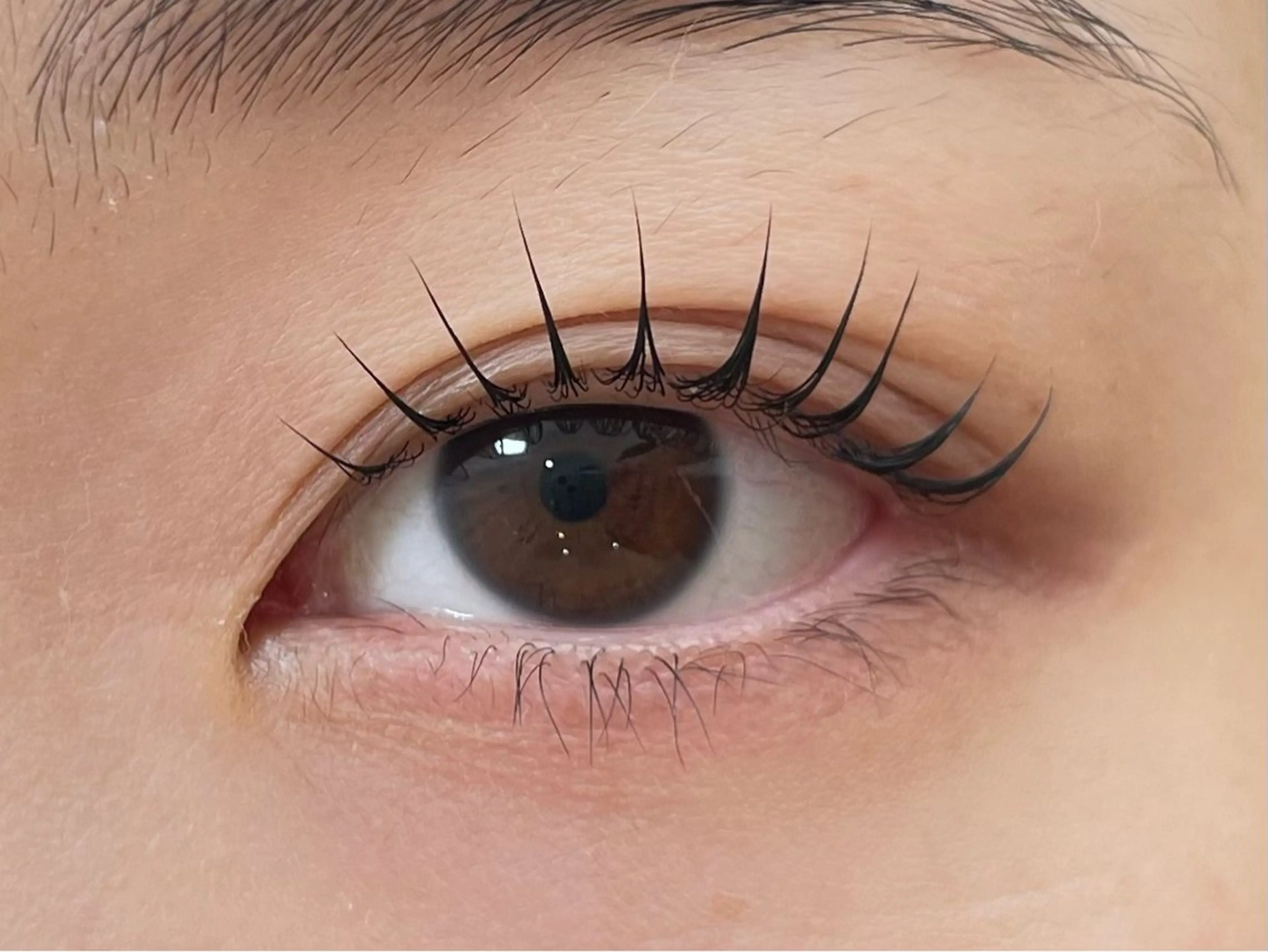 【MOMOKA指名】パリジェンヌラッシュリフト💐6800円の写真