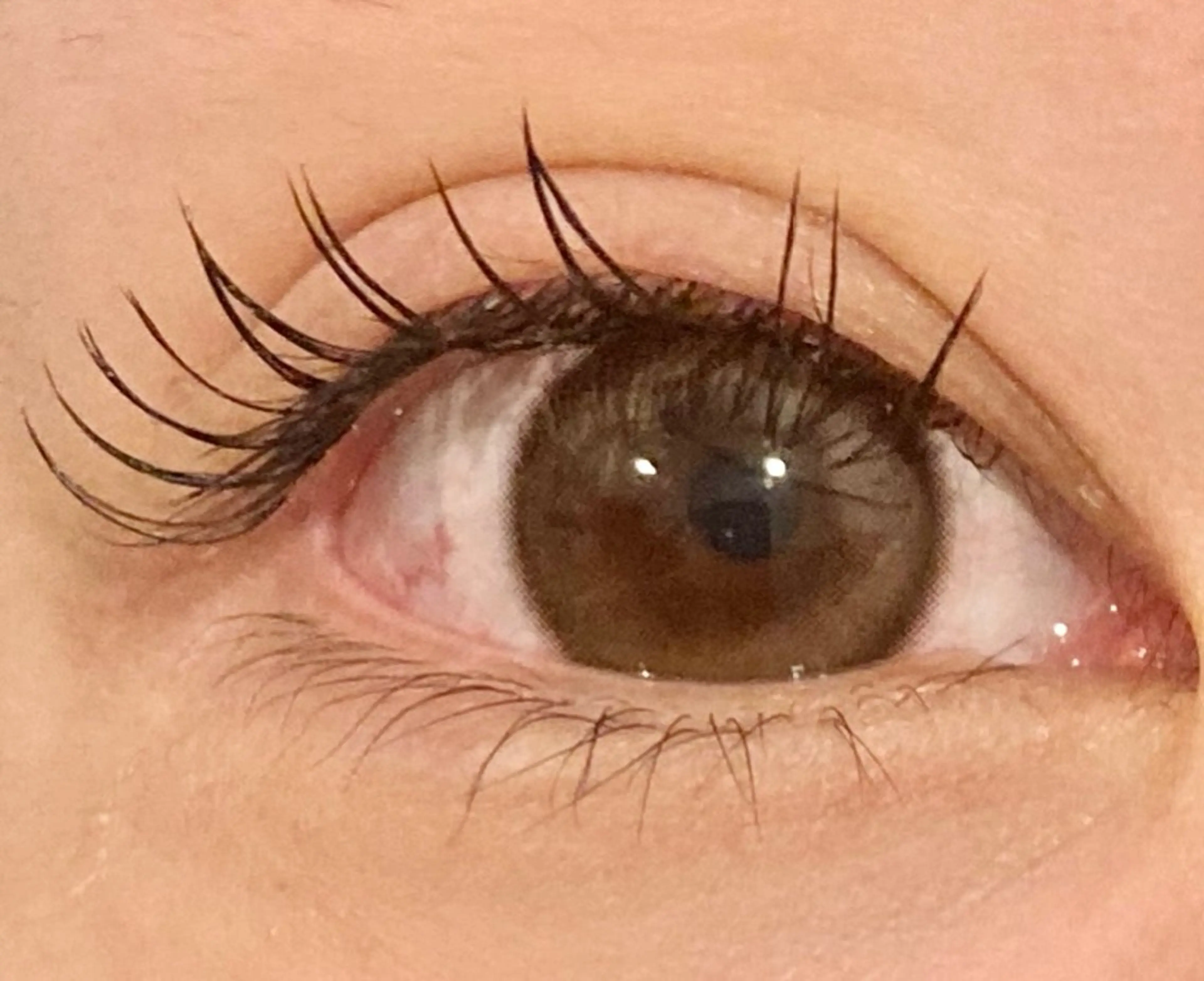 まつ毛エクステ100本　上の写真