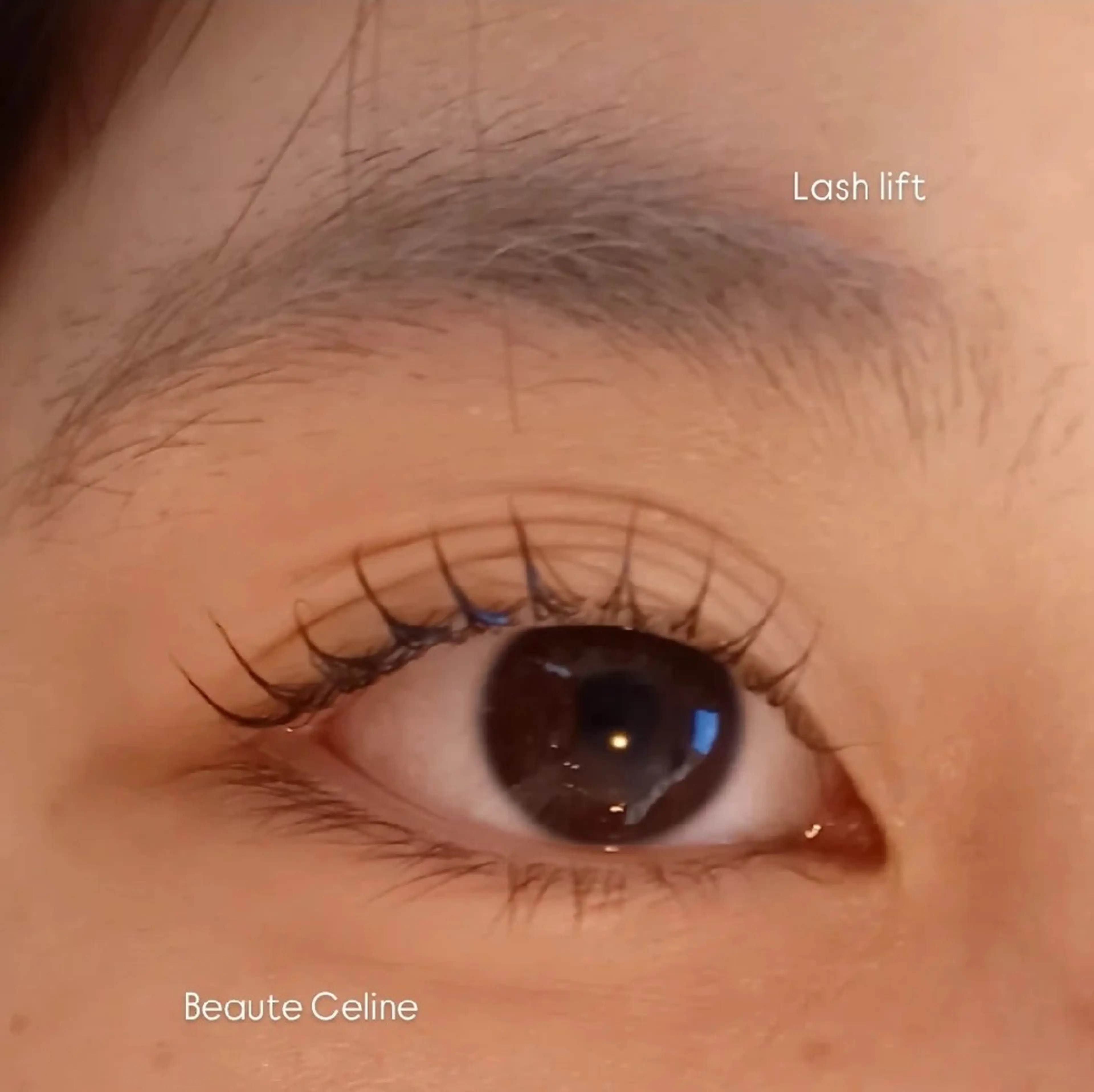 マツエク・マツパ マツパ beaute.celine所属・8時～✨beaute Celine🌛🌹のマツエク・マツパデザイン