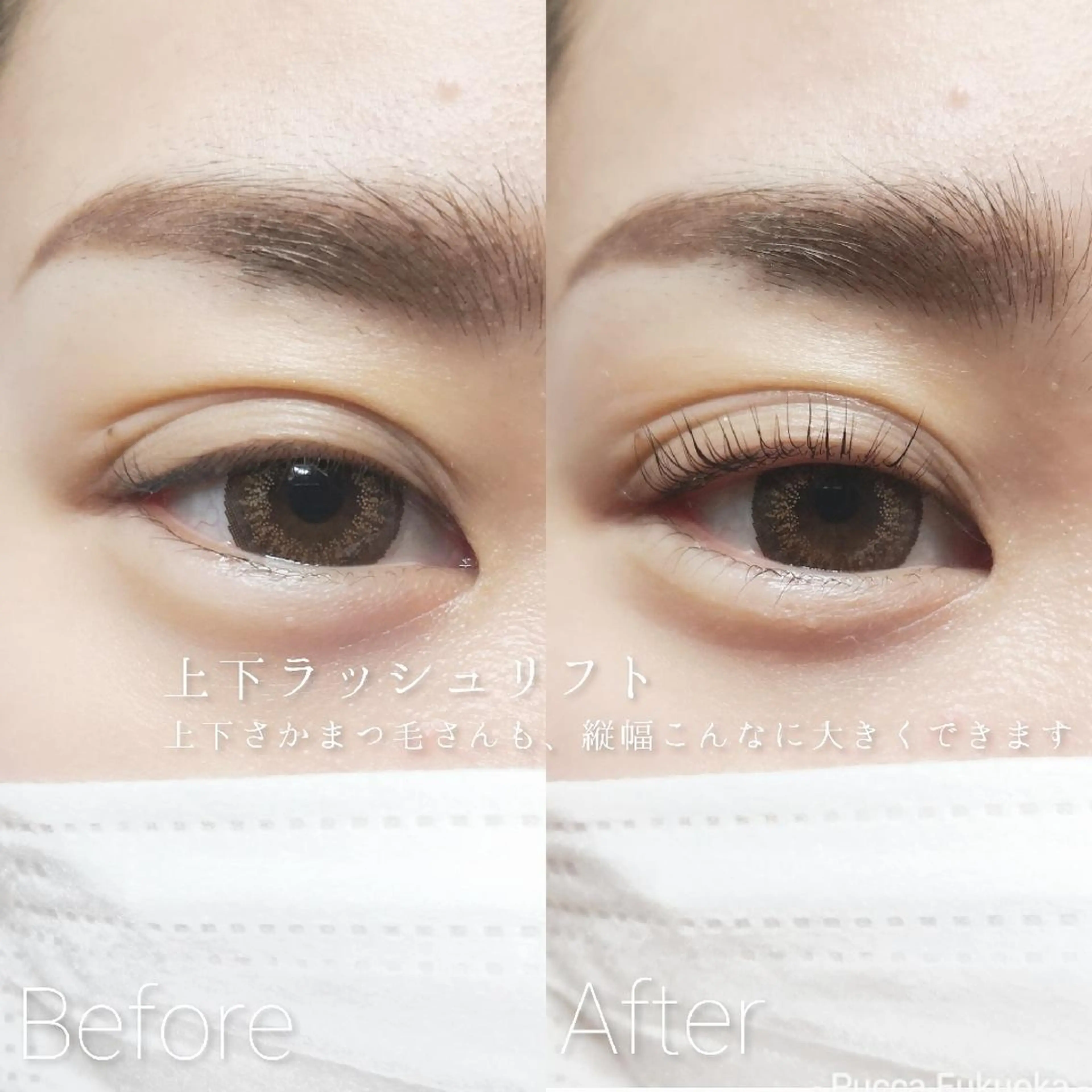 マツエク・マツパ Pucca Fukuokaのマツエク・マツパデザイン