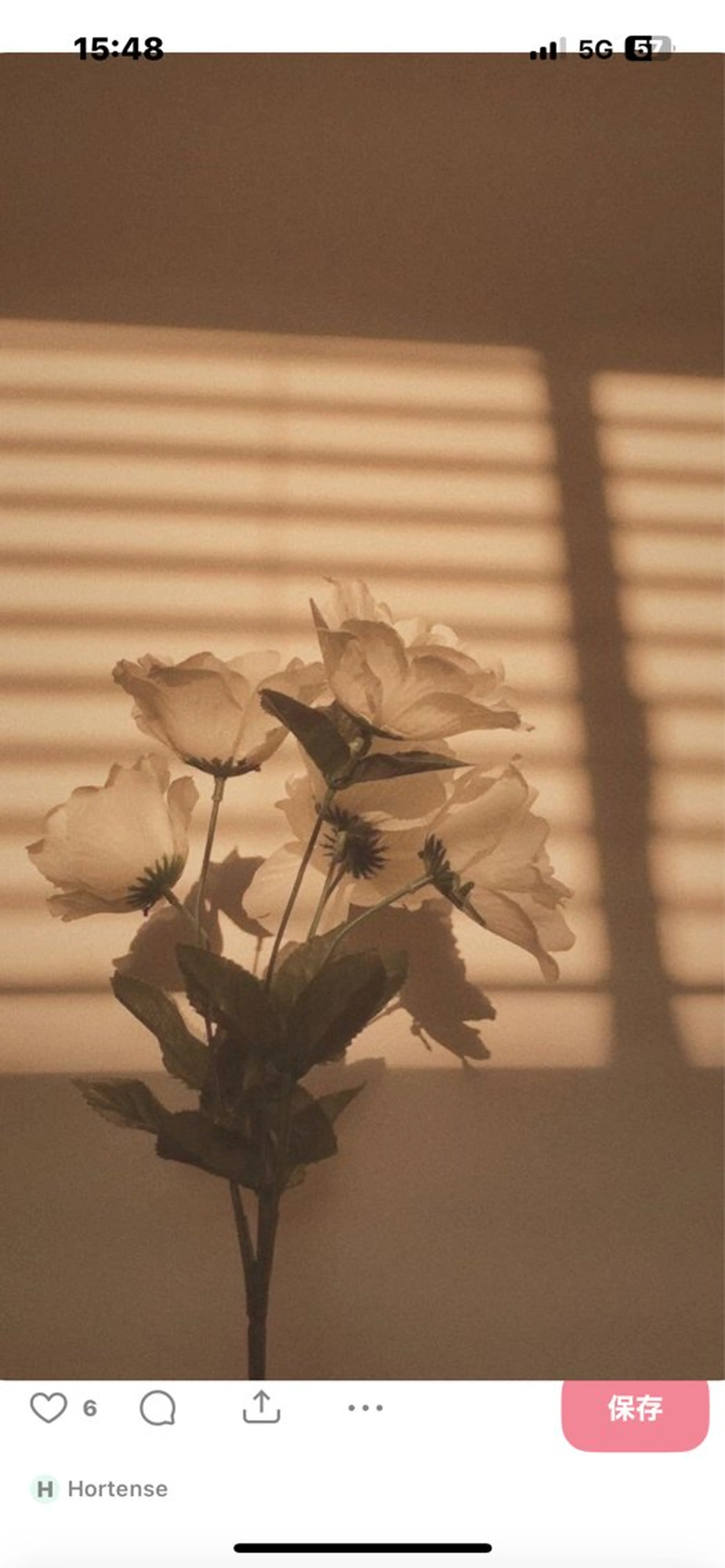 Mana ·͜·ᰔᩚのマツエク・マツパデザイン