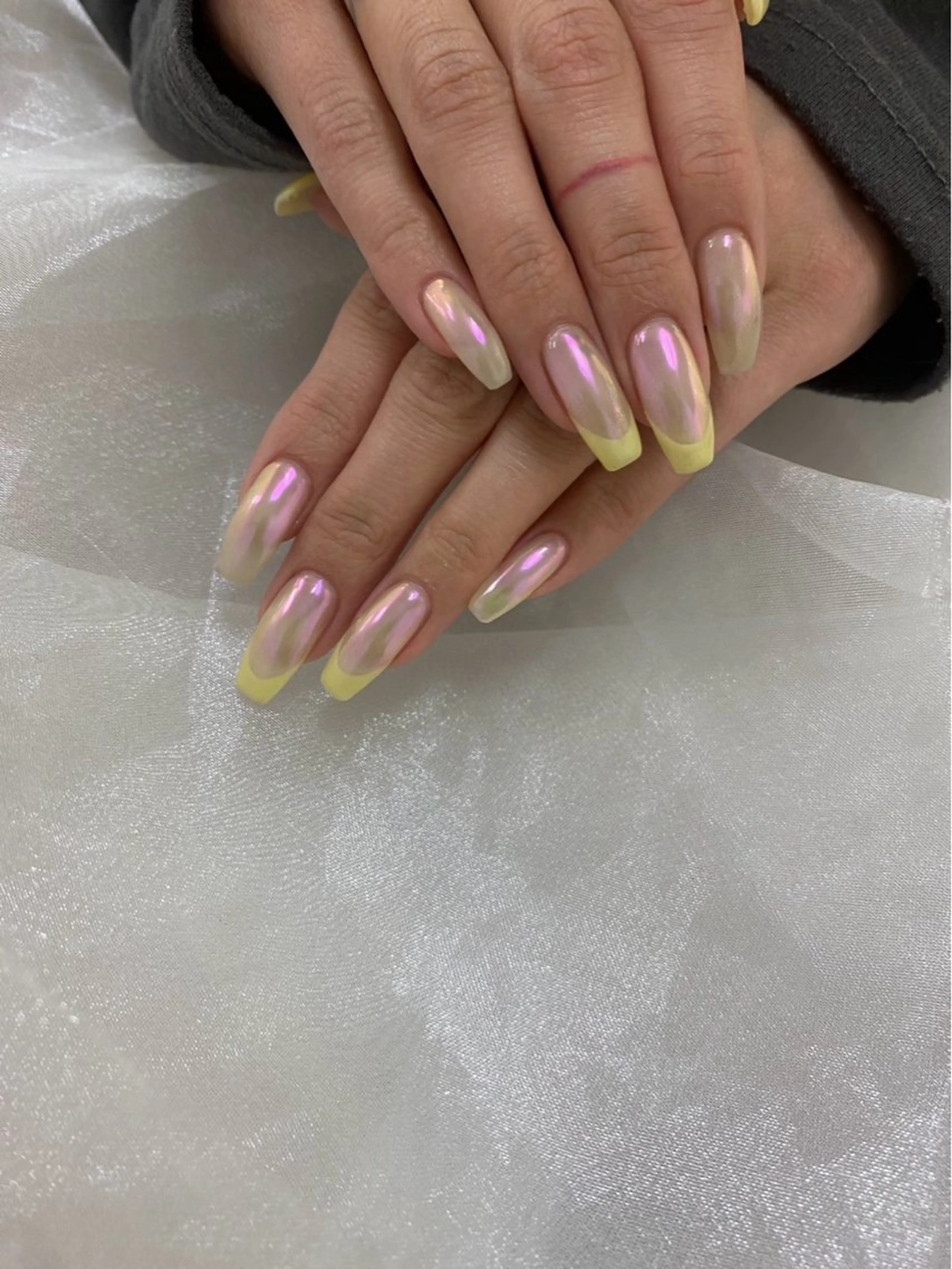 (オフ有り、なし)フレンチの写真