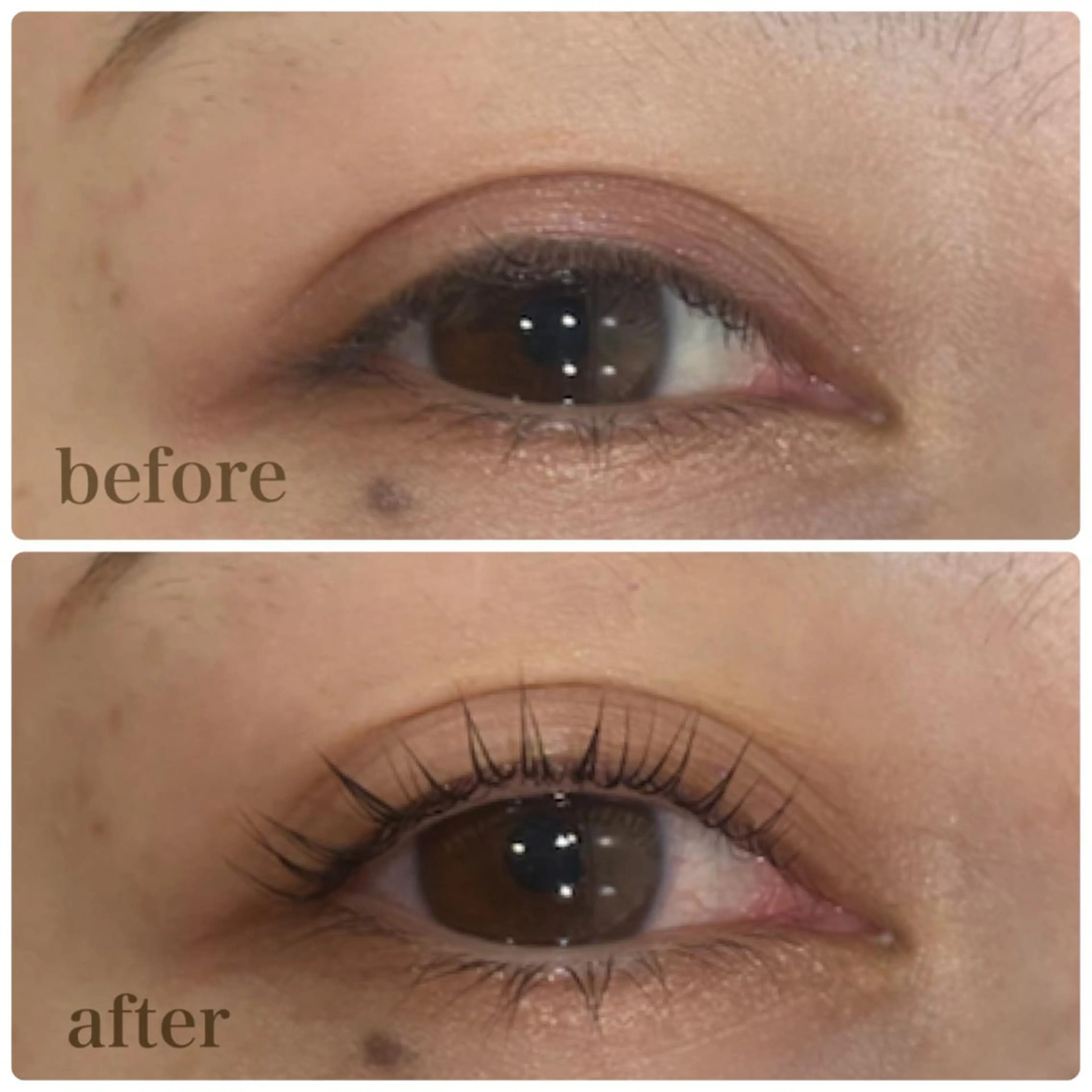 マツエク・マツパ equal静岡店🫧 まつげパーマ/眉毛のマツエク・マツパデザイン