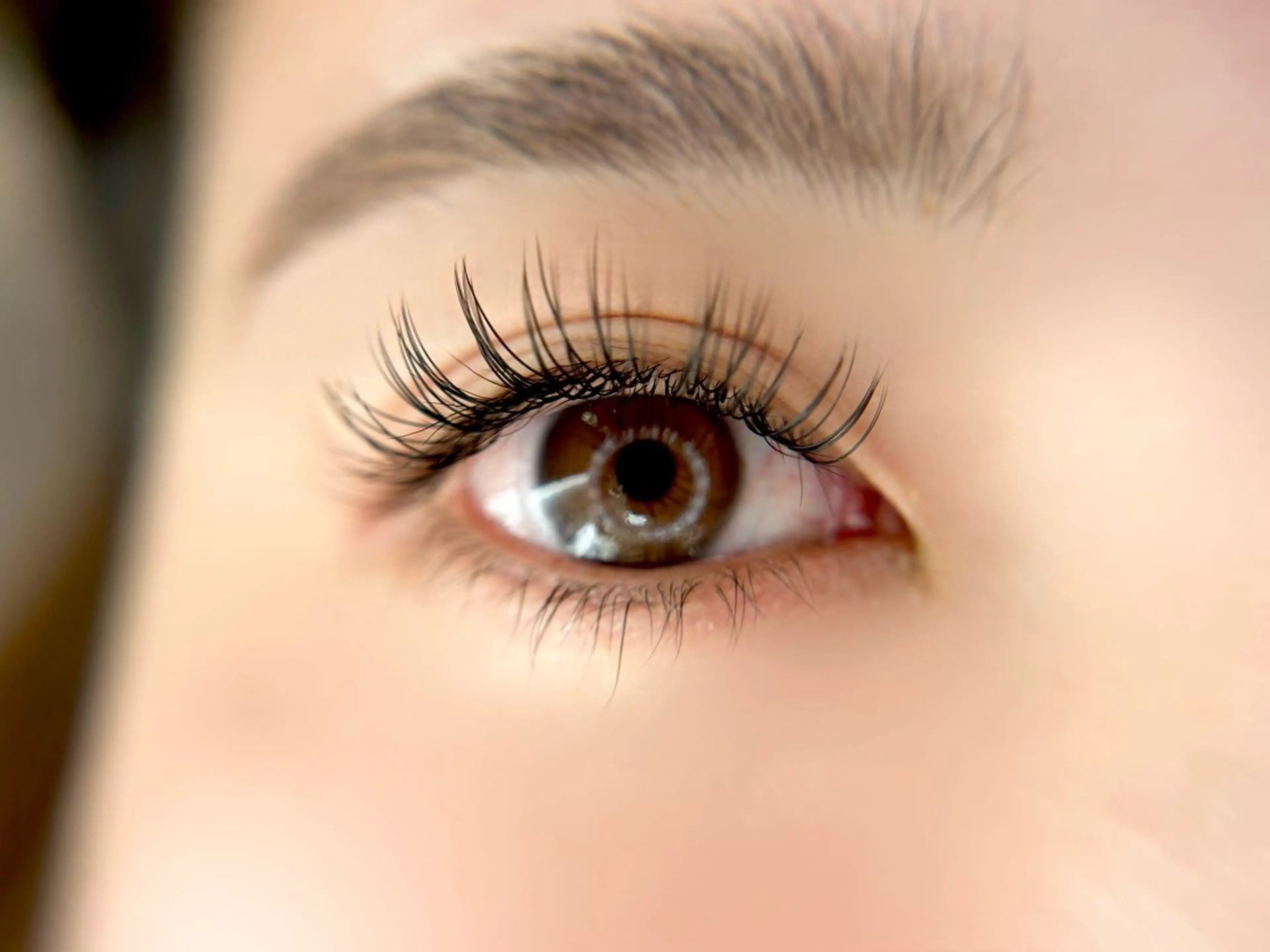 マツエク・マツパ D'OR所属・D'OR -ドールのマツエク・マツパデザイン