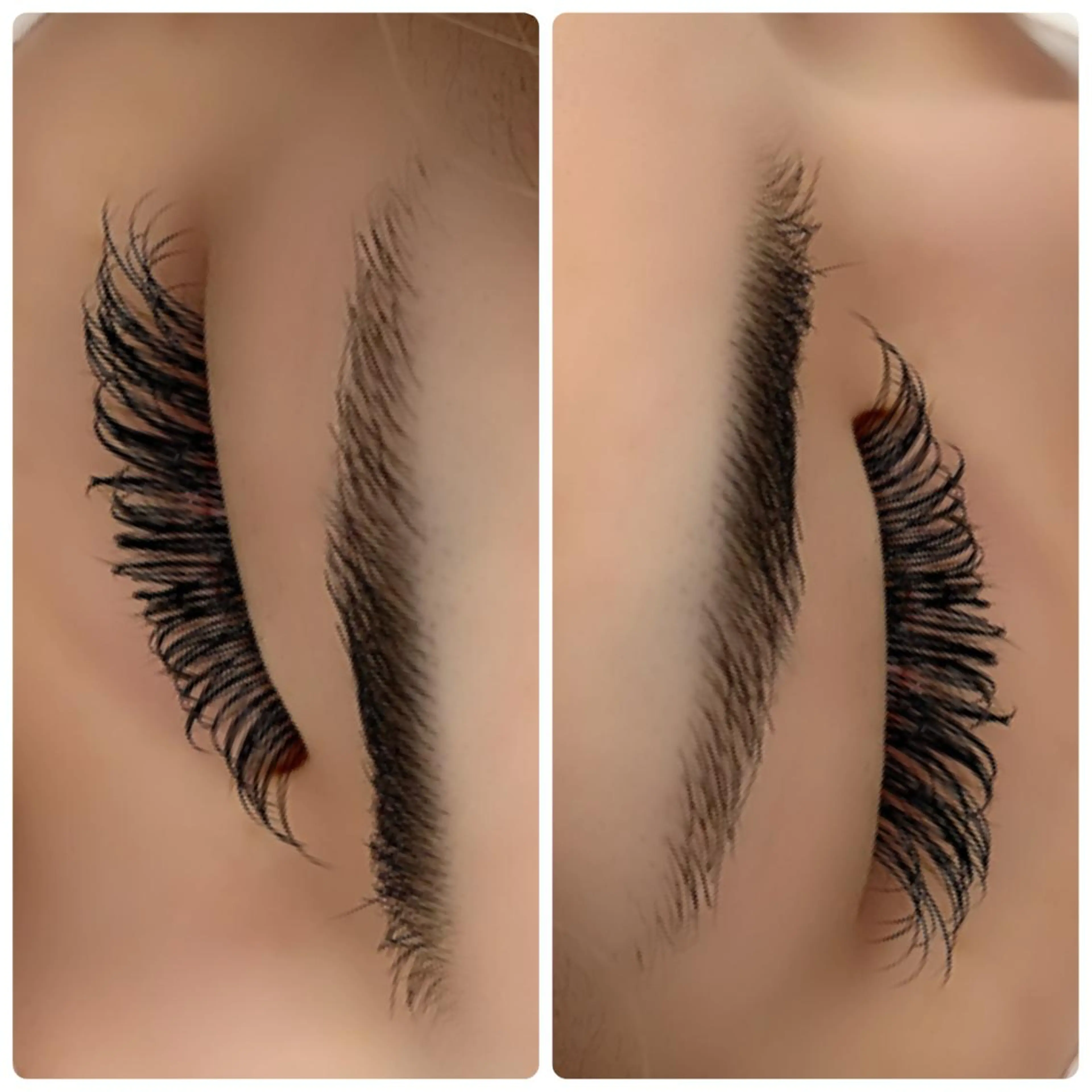 💜フラットラッシュ１４０本の写真