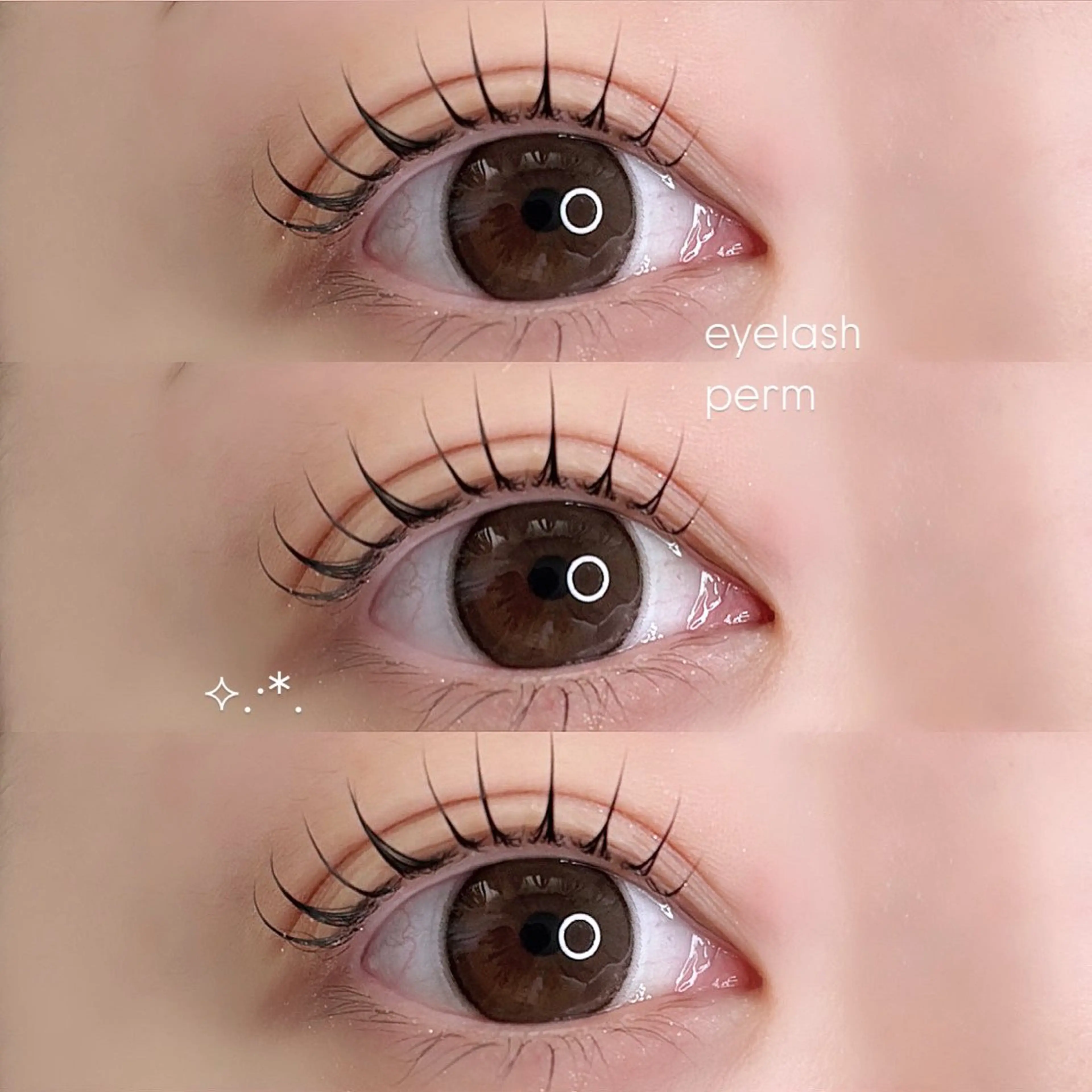 マツエク・マツパ 新宿eyelash 🎀amii🎀のマツエク・マツパデザイン